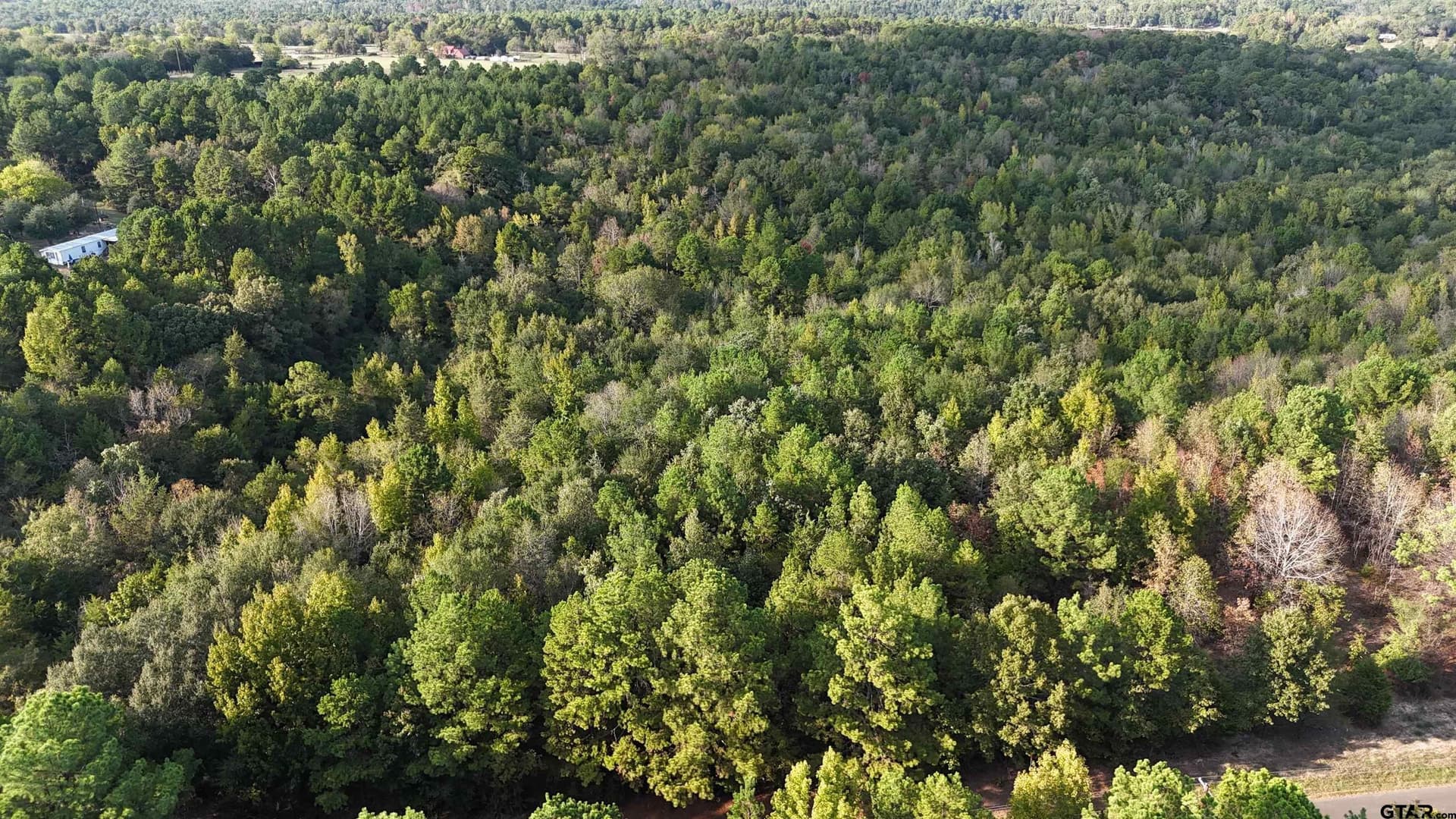 11 acres in Wood County - photo 13