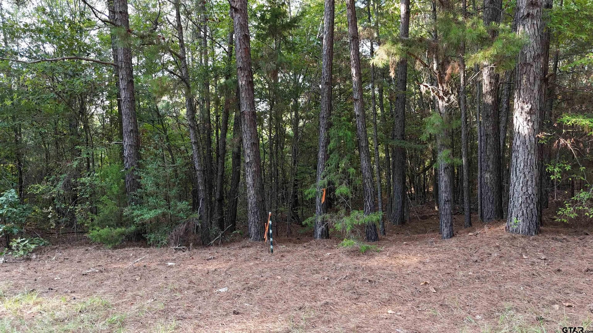 11 acres in Wood County - photo 11