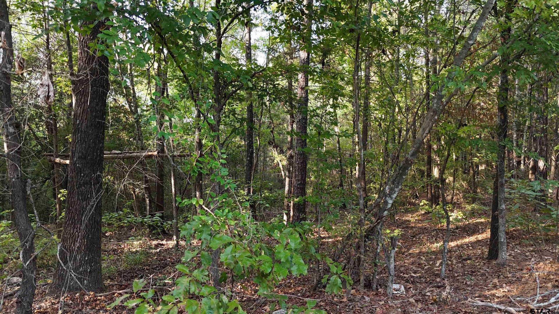 11 acres in Wood County - photo 7