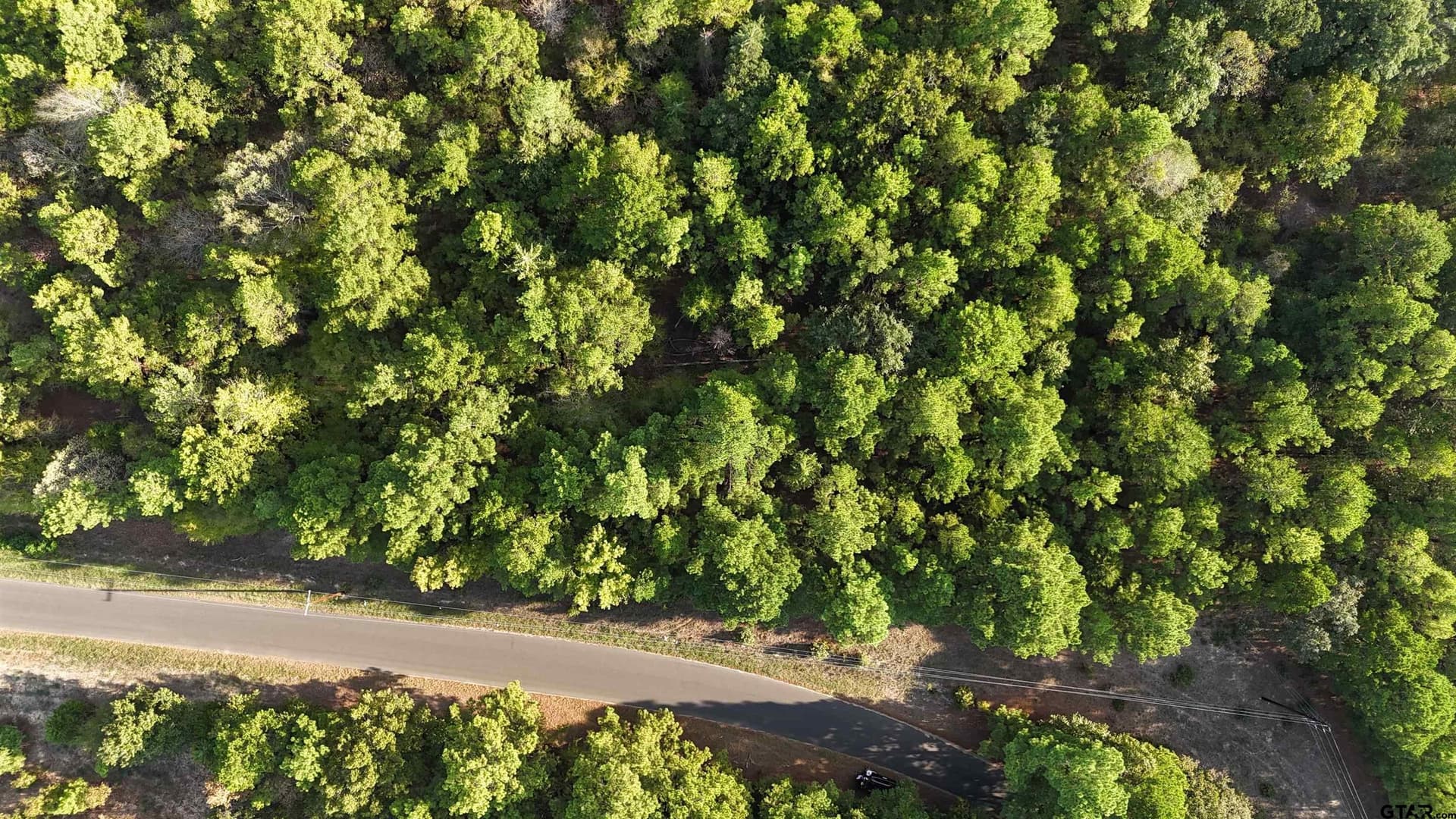 11 acres in Wood County - photo 4