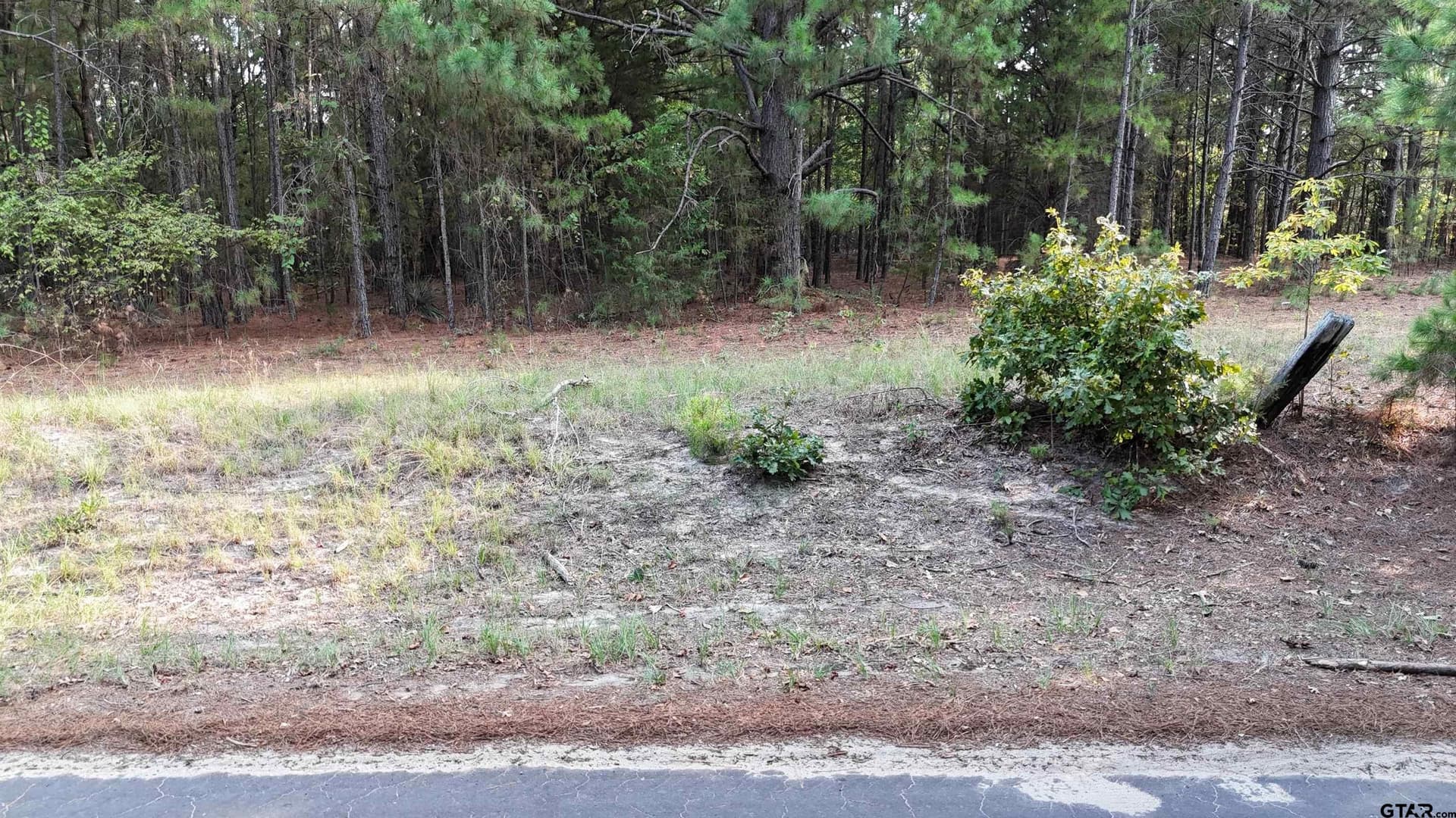 11 acres in Wood County - photo 14