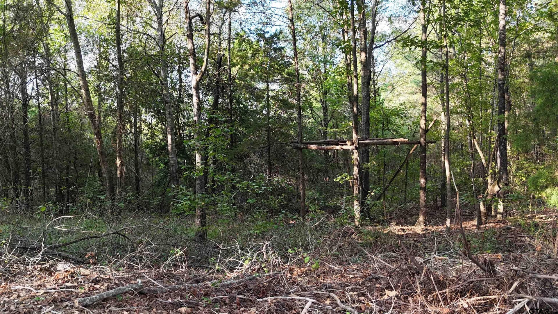 11 acres in Wood County - photo 8