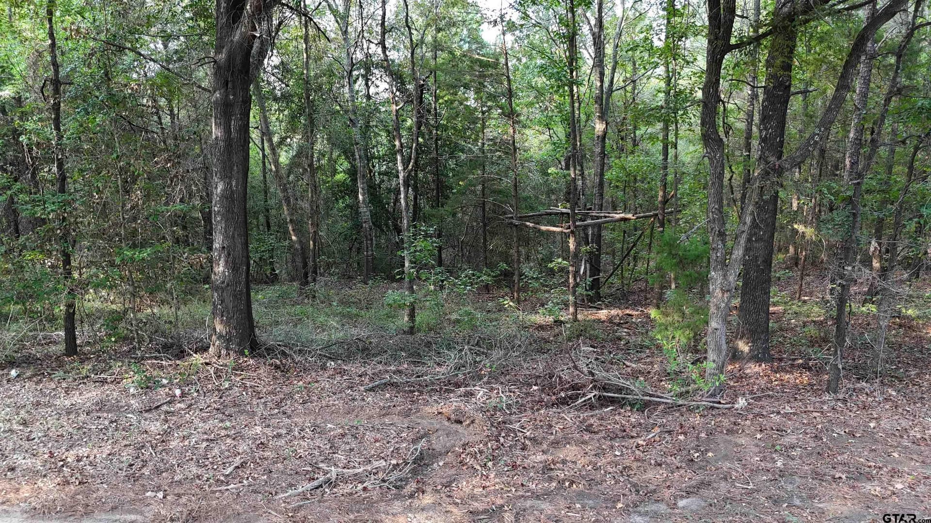 11 acres in Wood County - photo 10