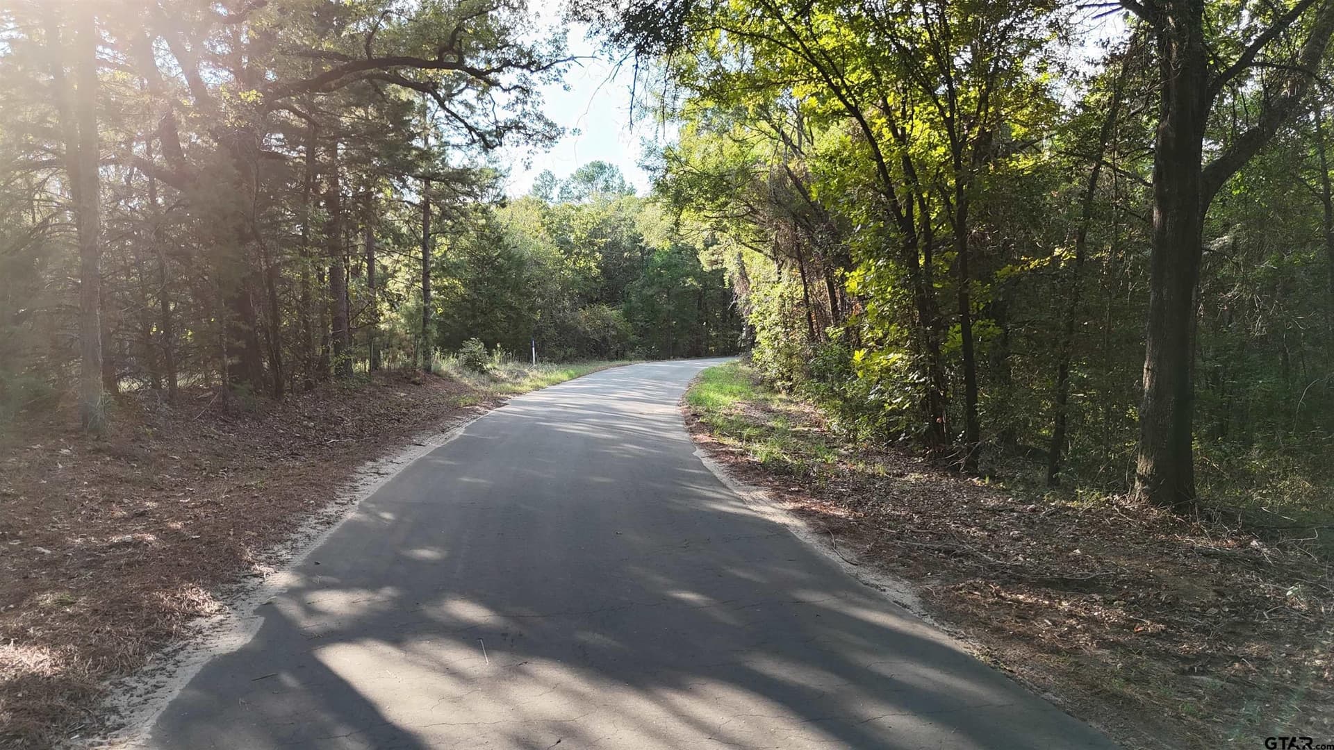 11 acres in Wood County - photo 15