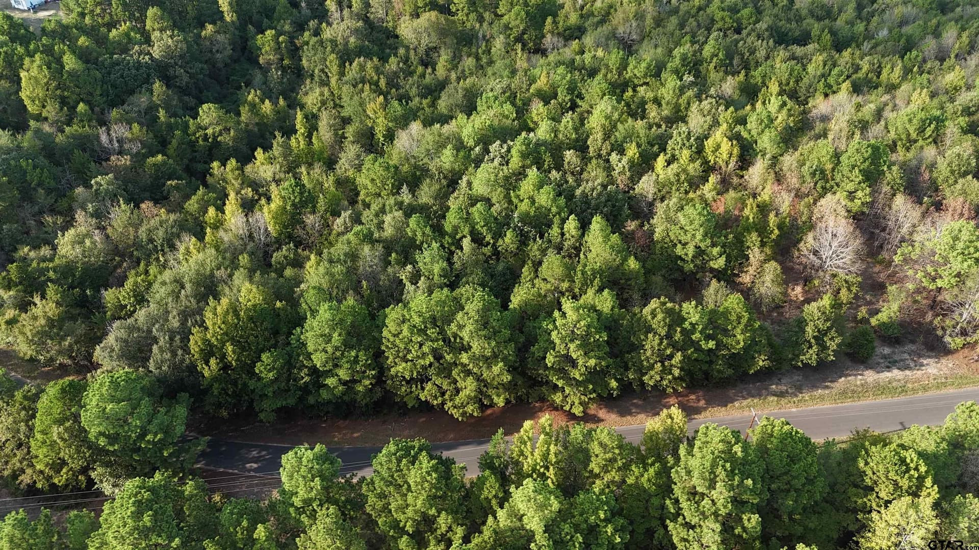 11 acres in Wood County - photo 2