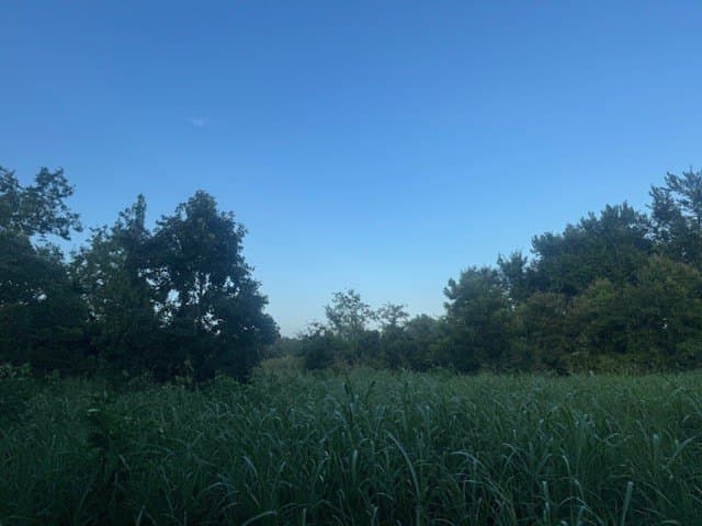 8.7 acres in Limestone County