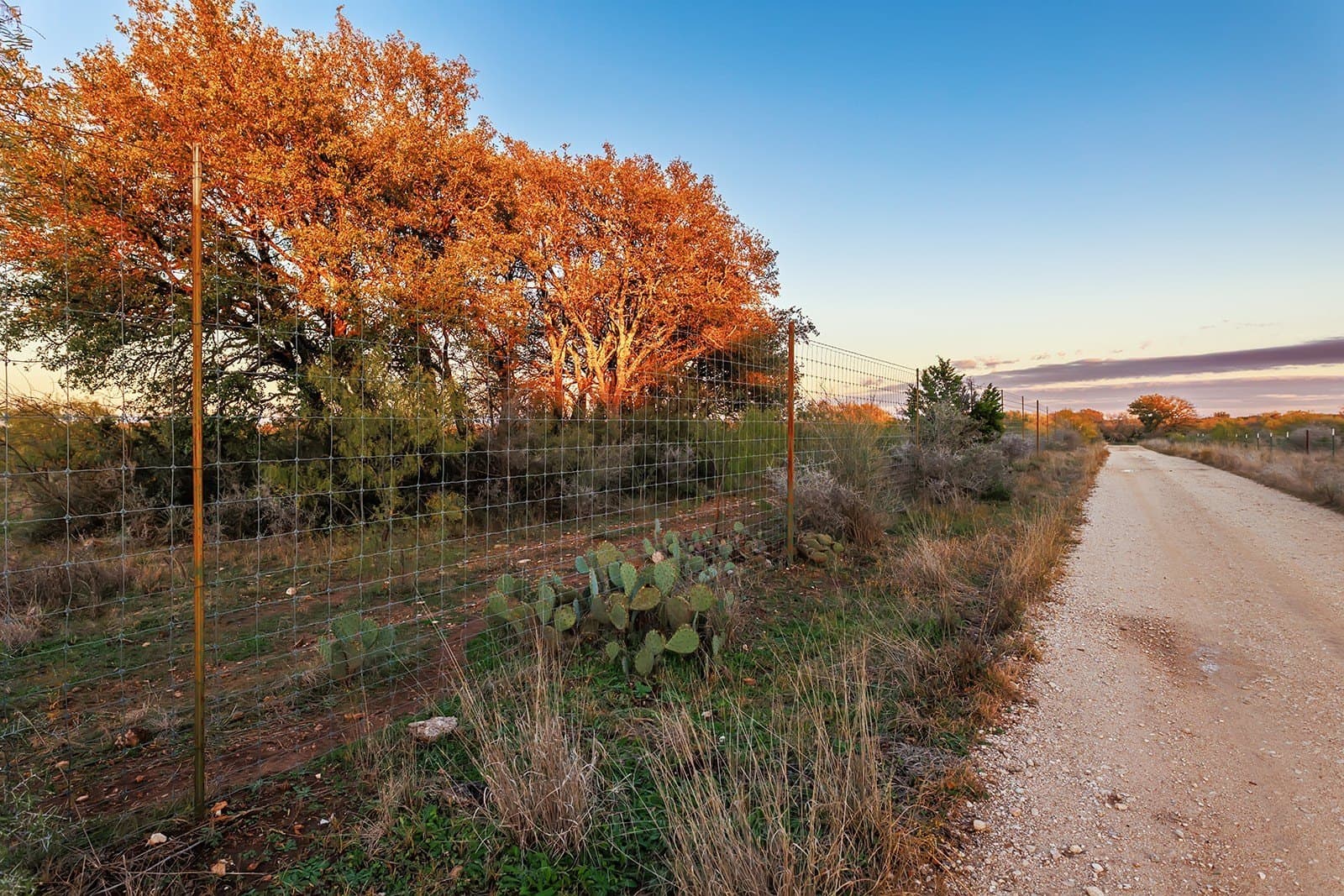 58 acres in McCulloch County - photo 22