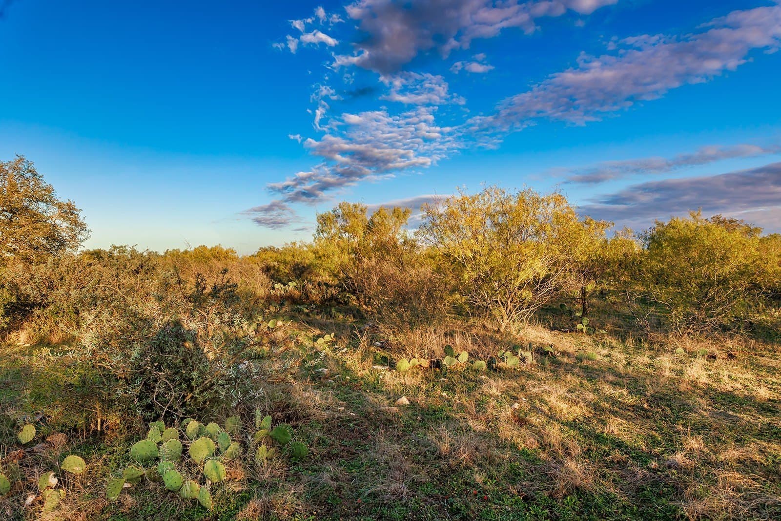58 acres in McCulloch County - photo 2