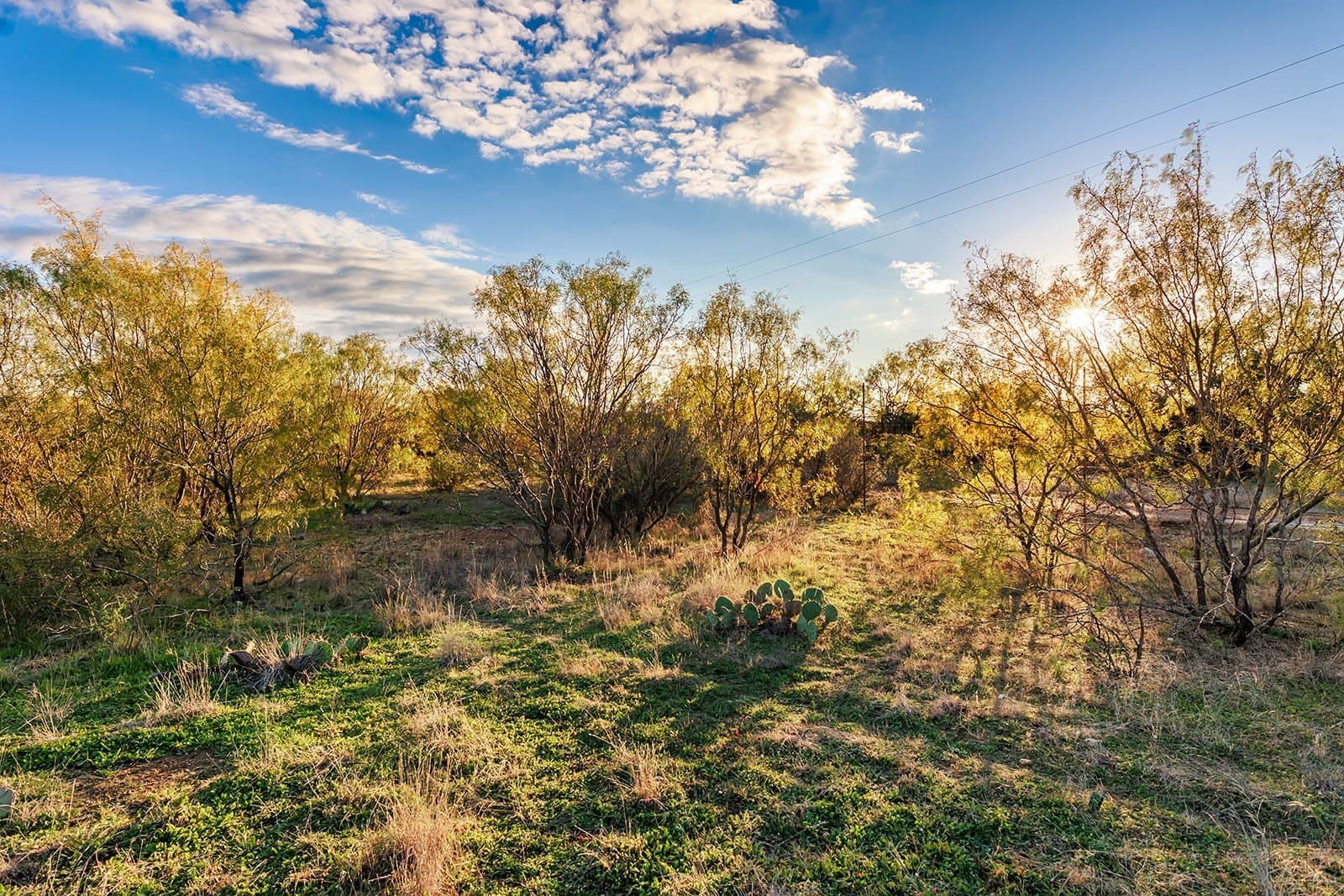58 acres in McCulloch County - photo 3