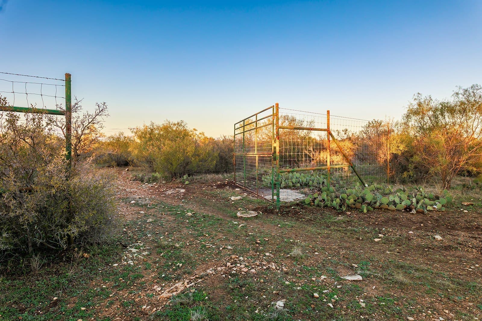 58 acres in McCulloch County - photo 11