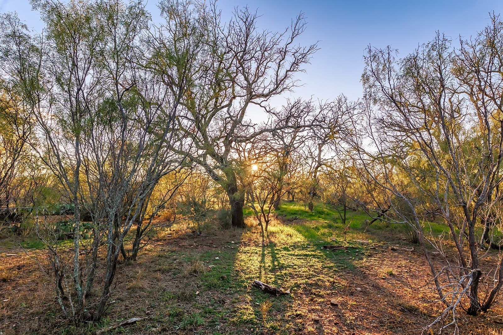 58 acres in McCulloch County - photo 16