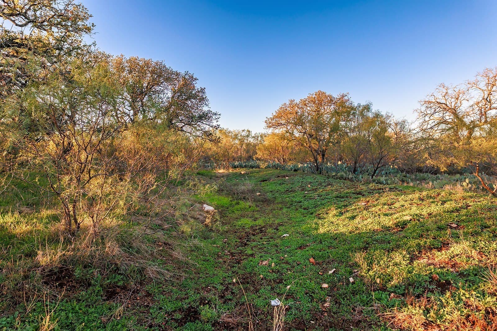 58 acres in McCulloch County - photo 19