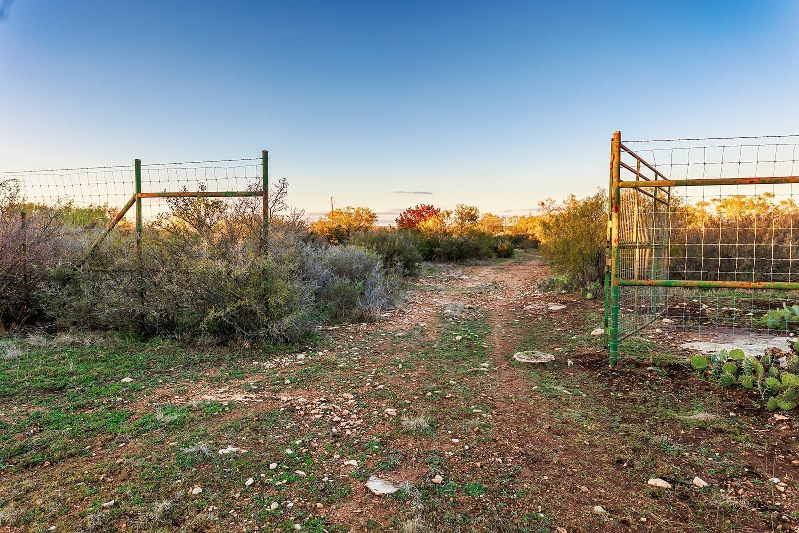 58 acres in McCulloch County - photo 10