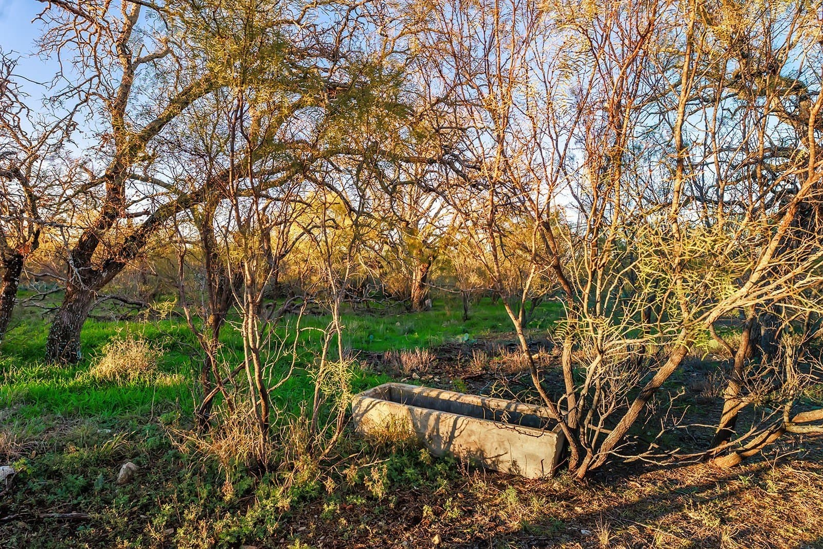 58 acres in McCulloch County - photo 18