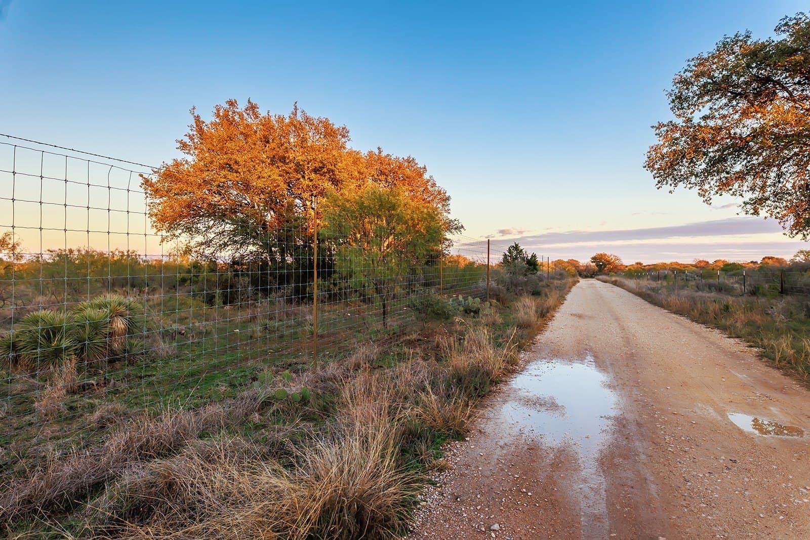 58 acres in McCulloch County - photo 21