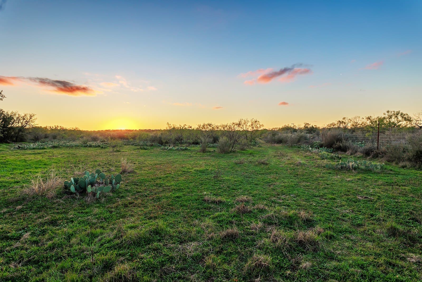 58 acres in McCulloch County - photo 29