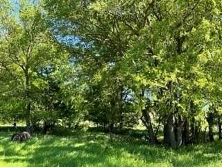 41.75 acres in Brown County gallery image 3