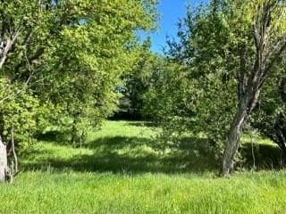 41.75 acres in Brown County gallery image 4