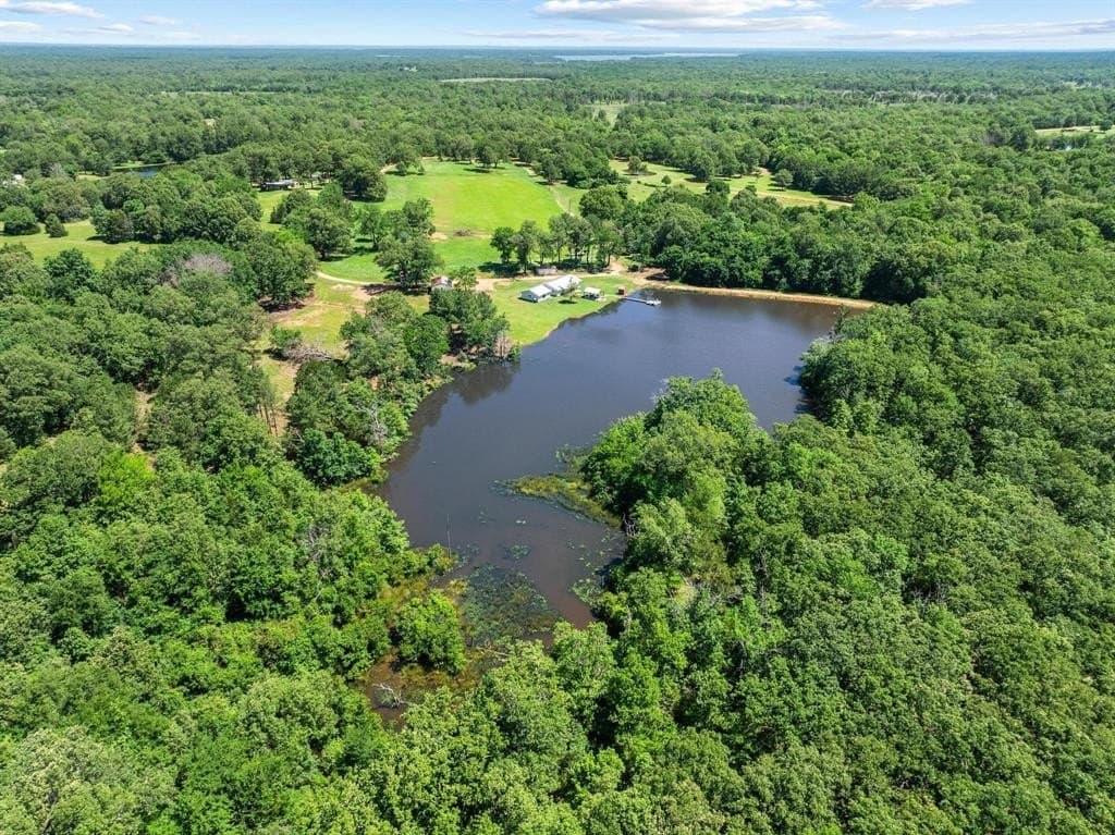 24.94 acres in Lamar County gallery image 2