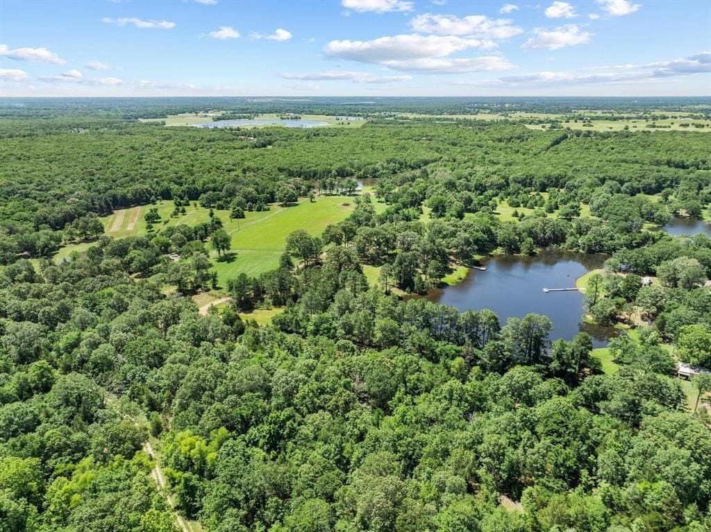 24.94 acres in Lamar County gallery image 3