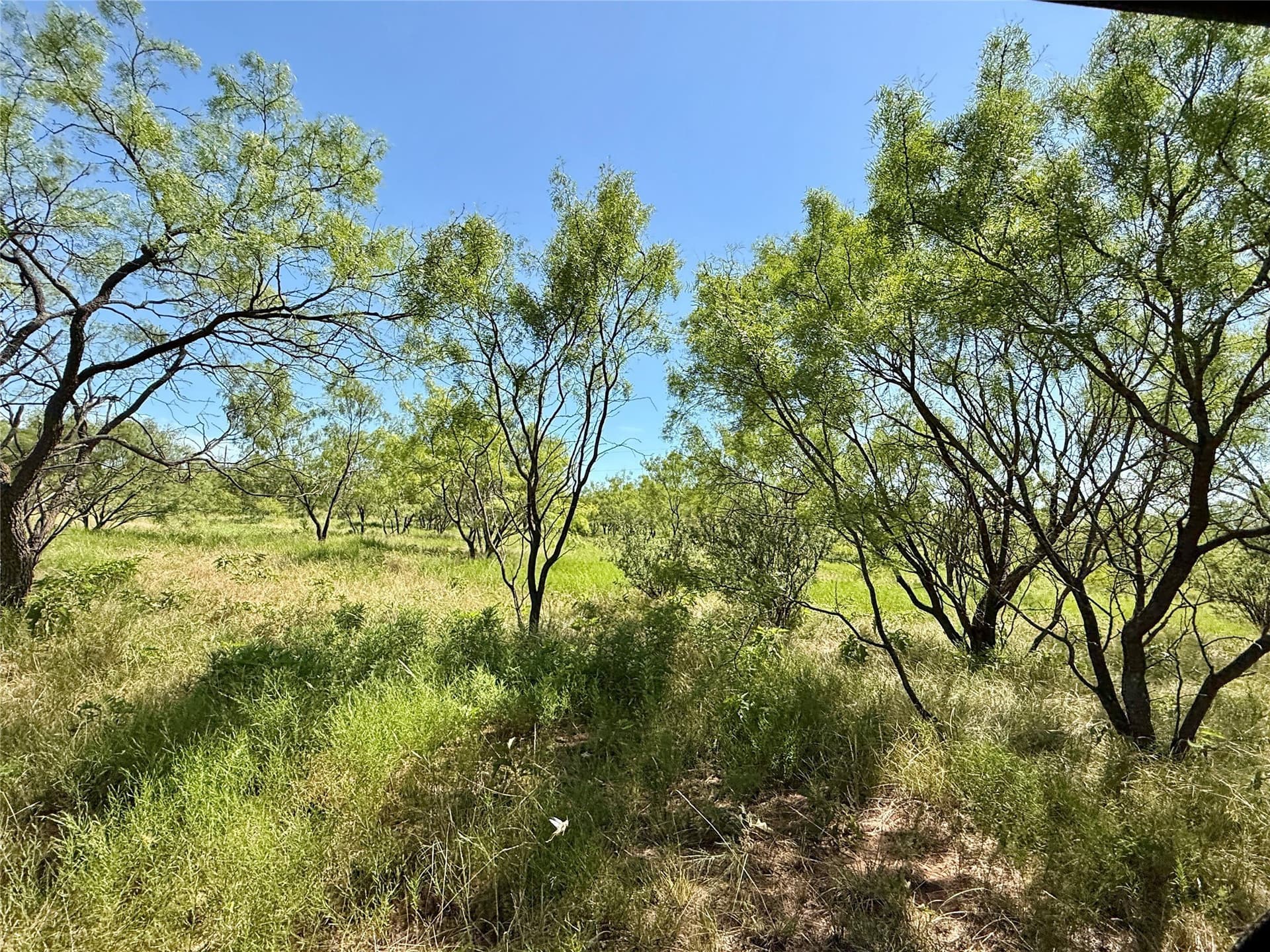 254 acres in Brown County - photo 30