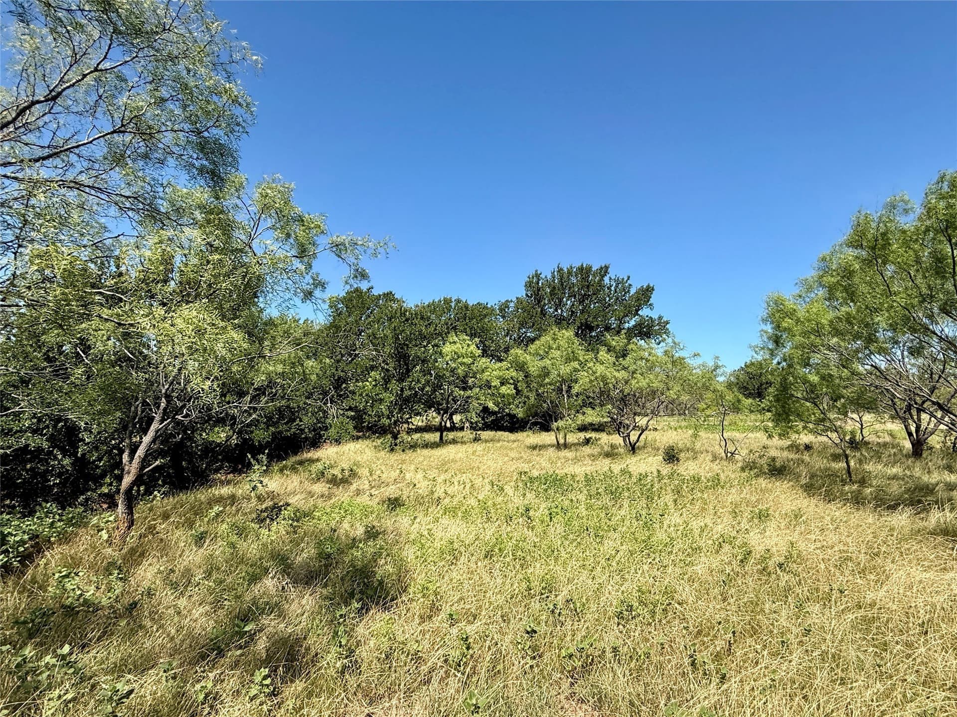 254 acres in Brown County - photo 5