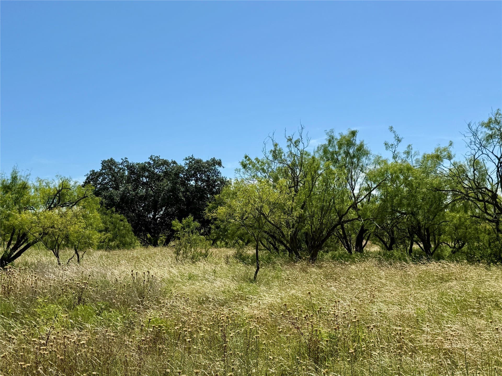 254 acres in Brown County - photo 37
