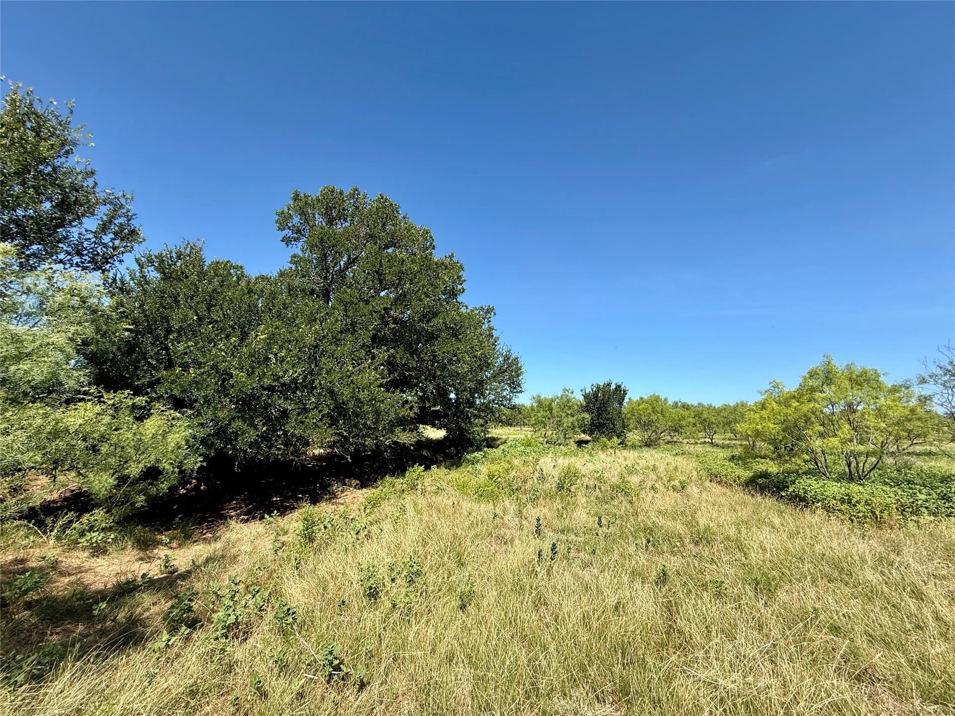 254 acres in Brown County - photo 23