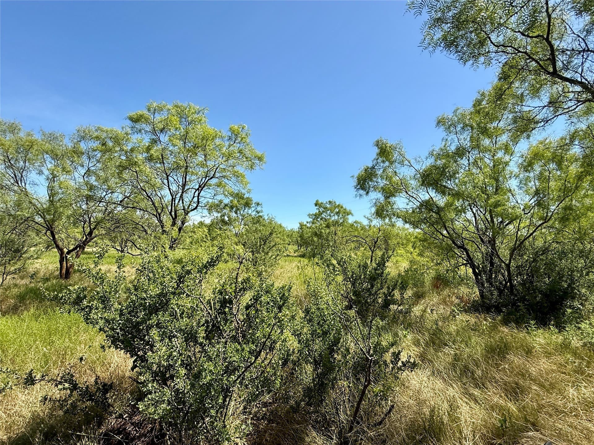 254 acres in Brown County - photo 28