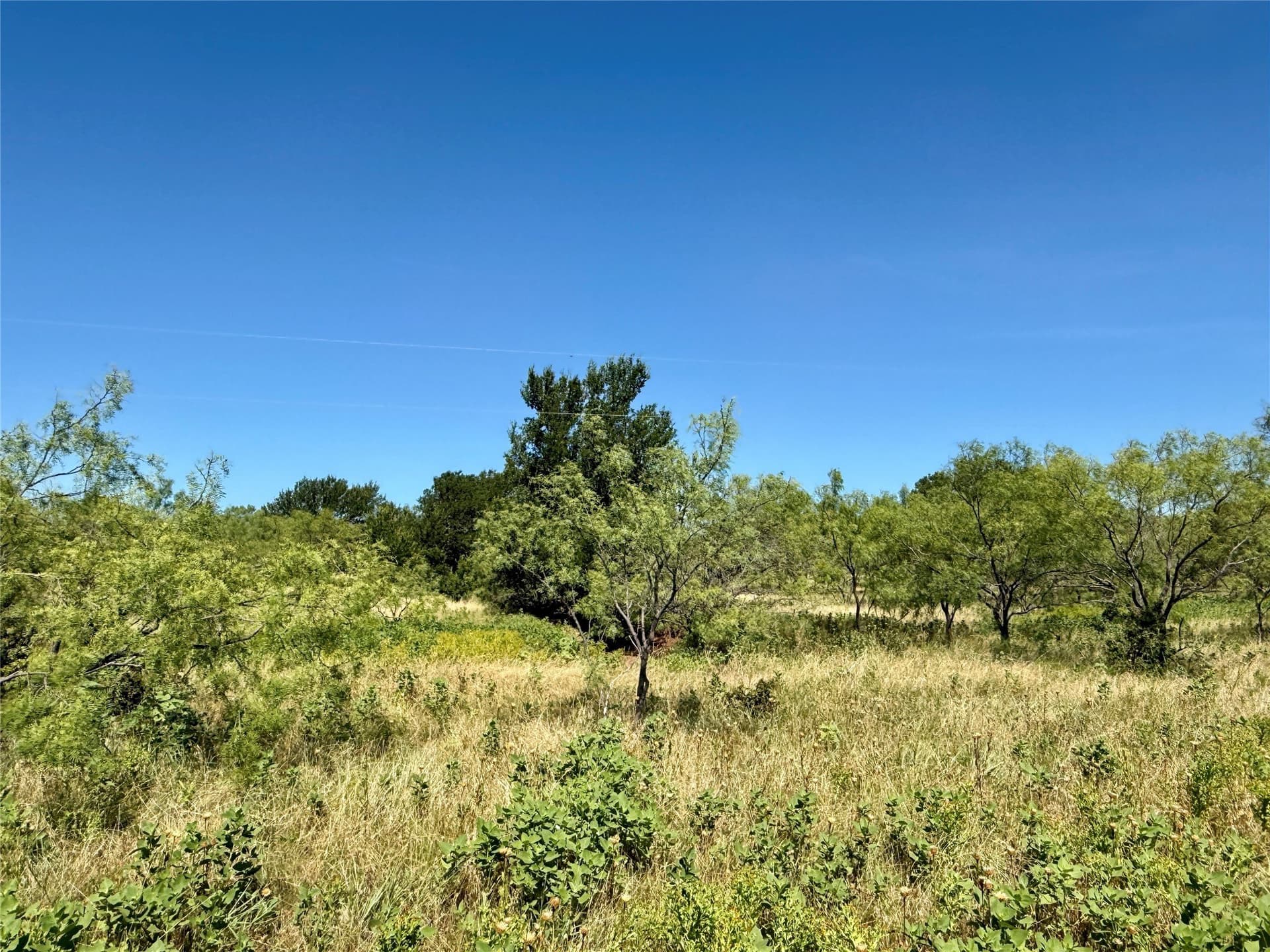 254 acres in Brown County - photo 18