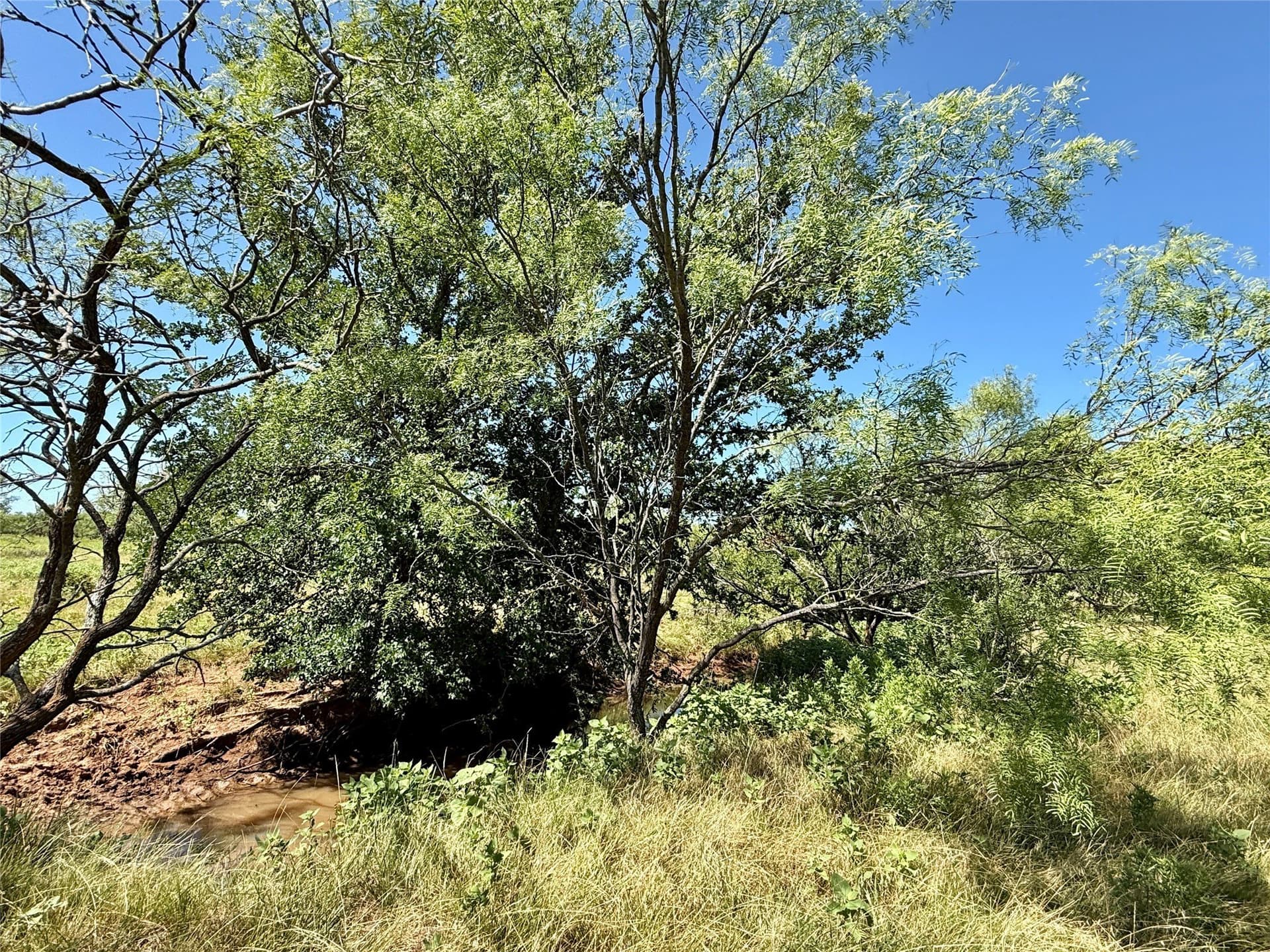 254 acres in Brown County - photo 25