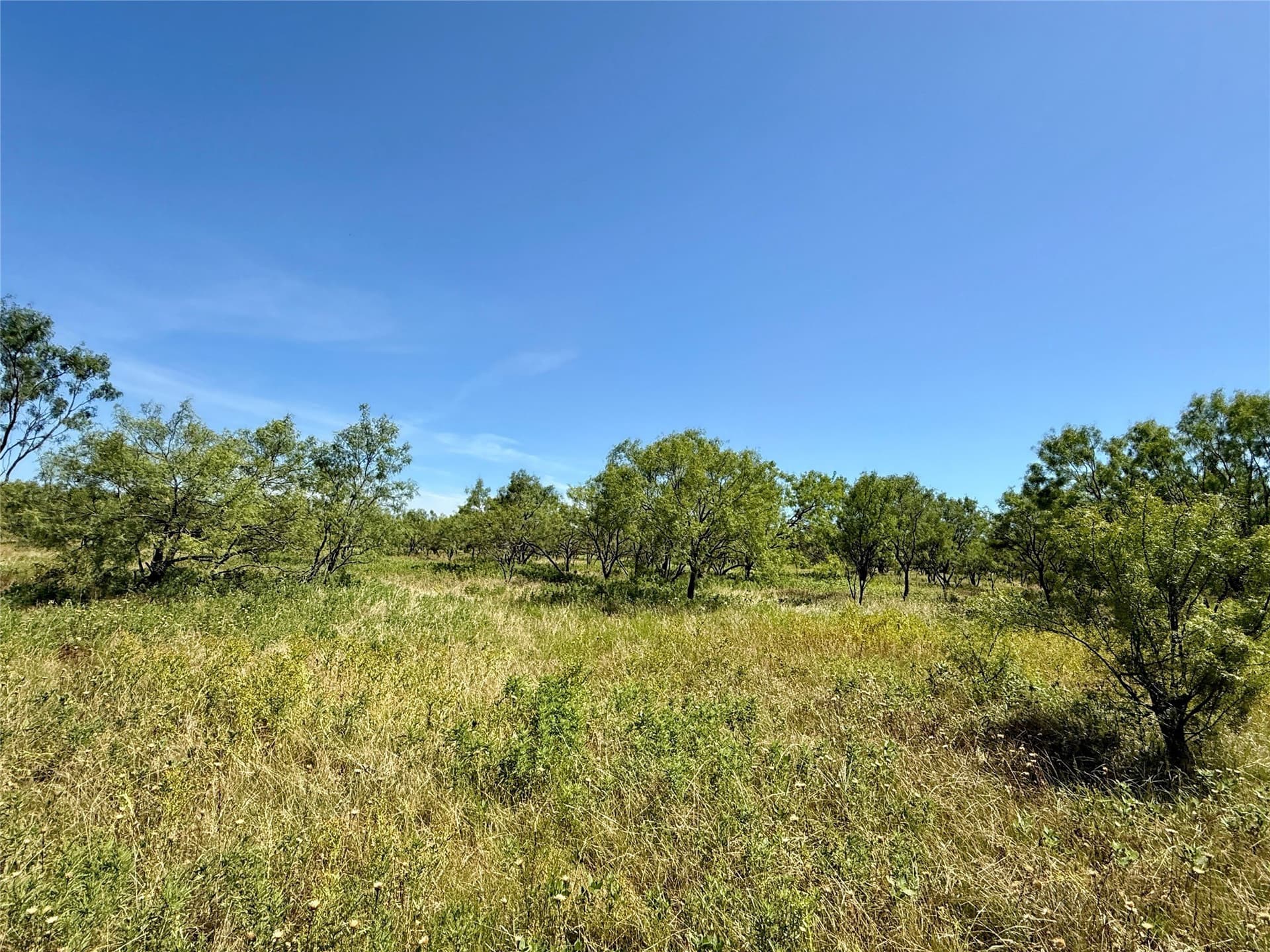 254 acres in Brown County - photo 32