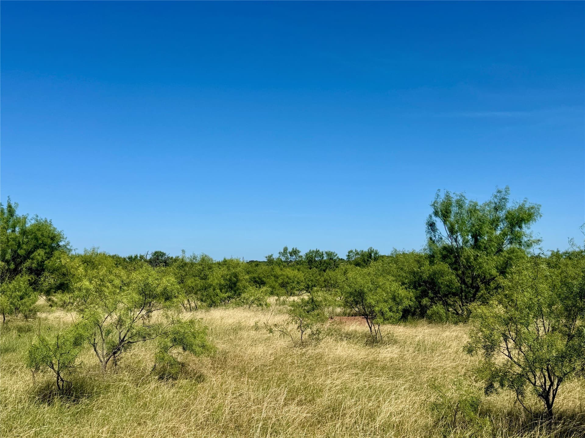 254 acres in Brown County - photo 16