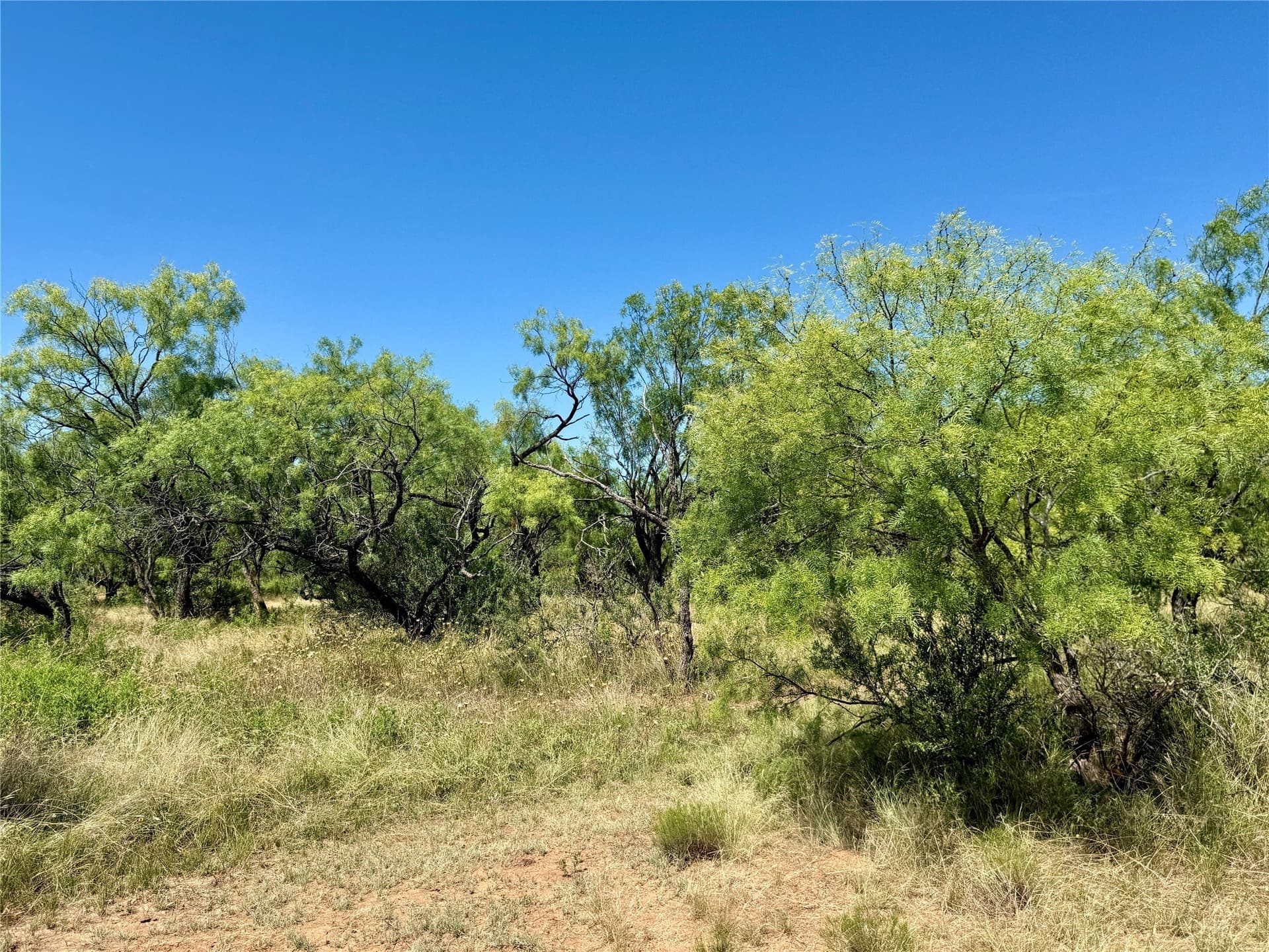 254 acres in Brown County - photo 38