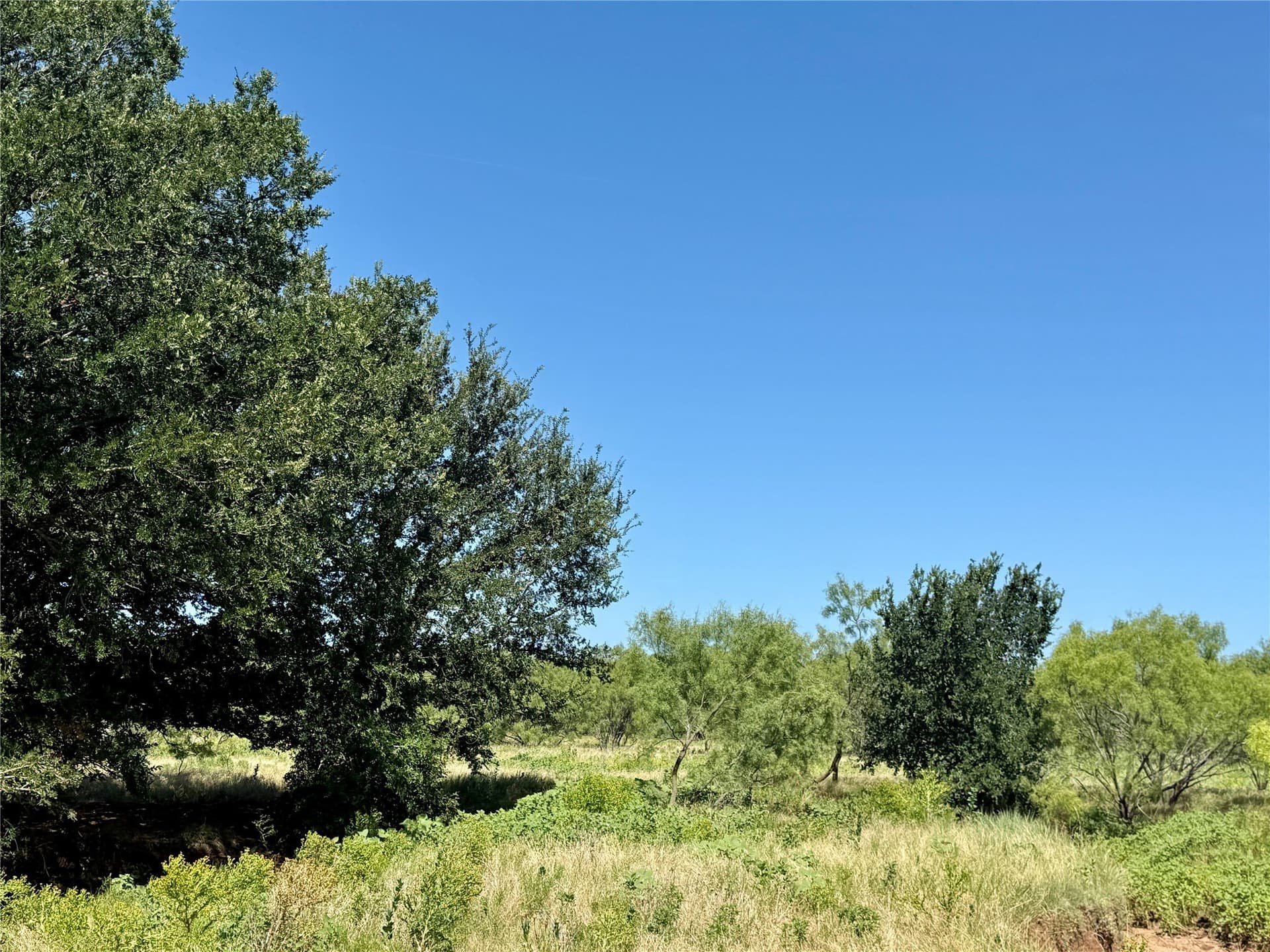 254 acres in Brown County - photo 4
