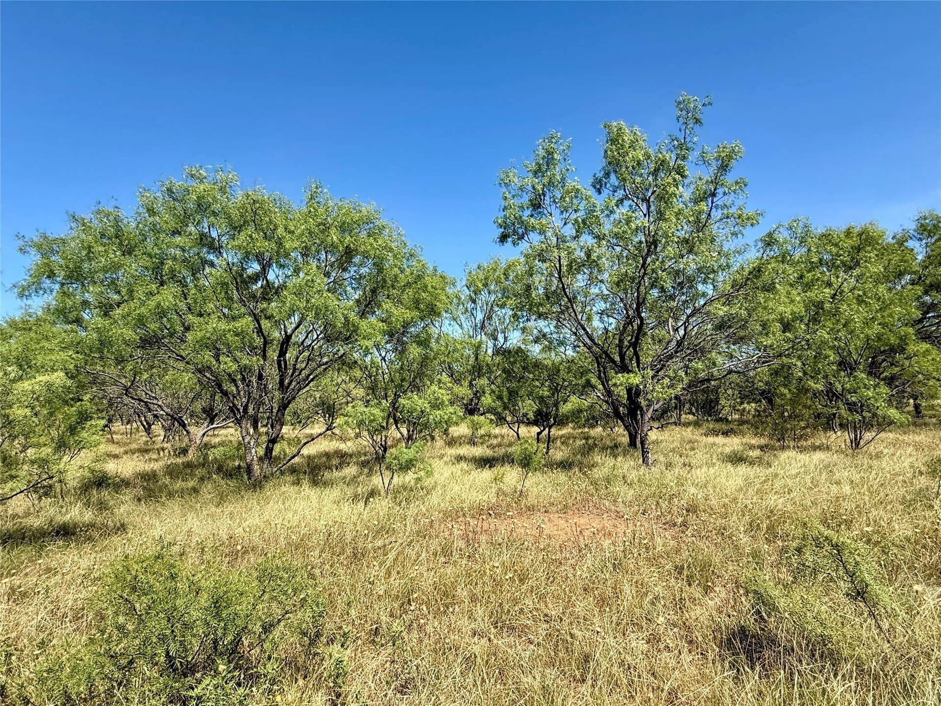254 acres in Brown County - photo 34