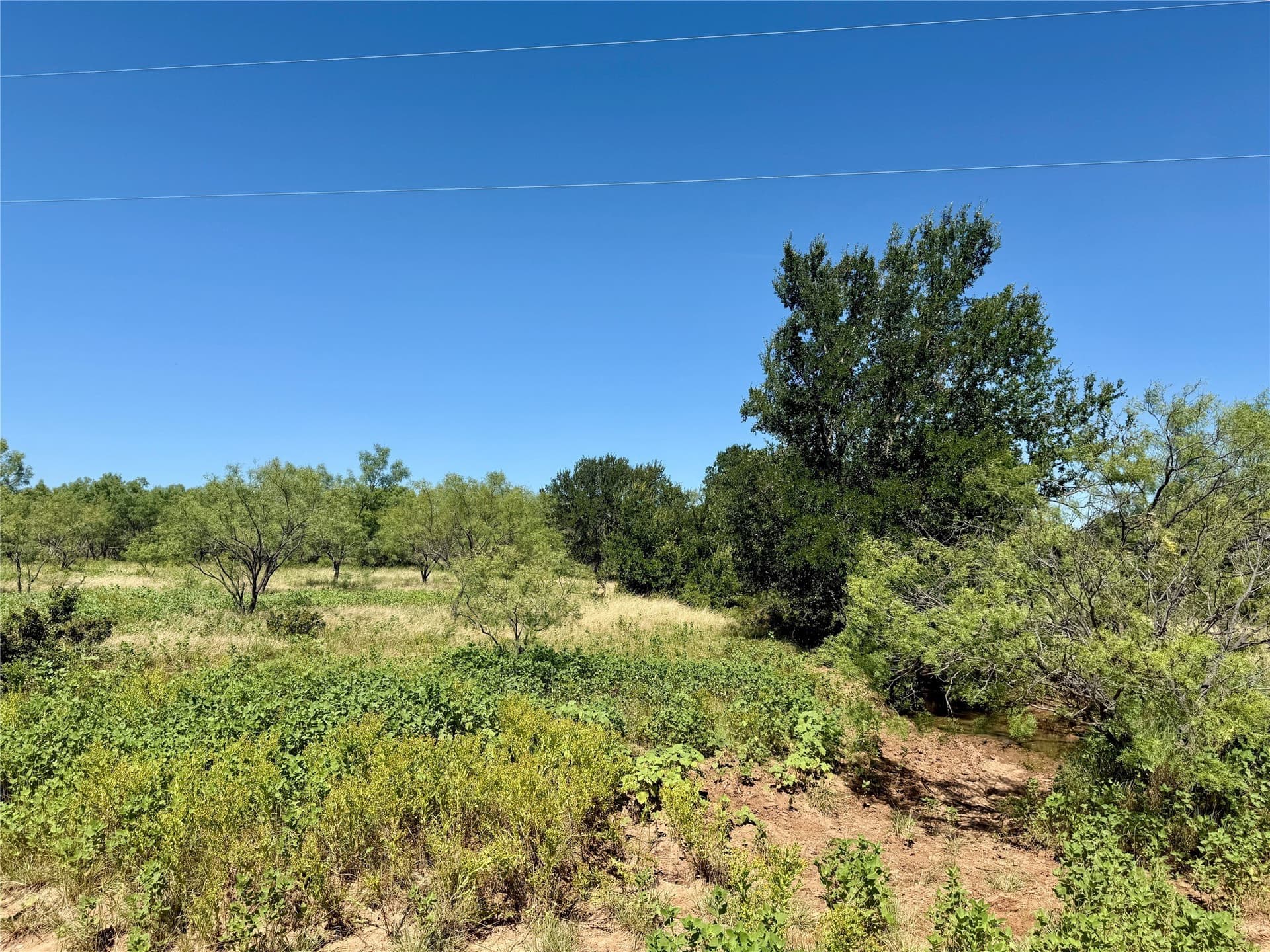 254 acres in Brown County - photo 24