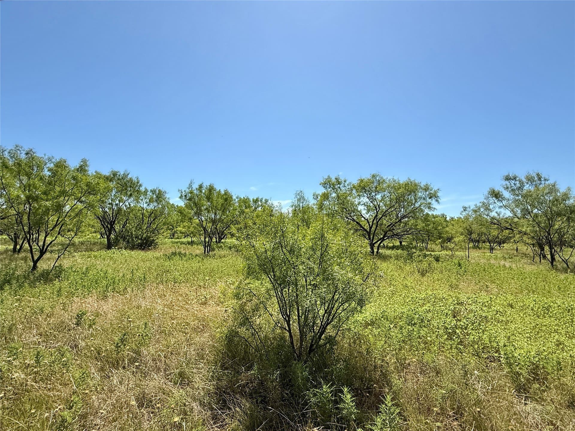 254 acres in Brown County - photo 33