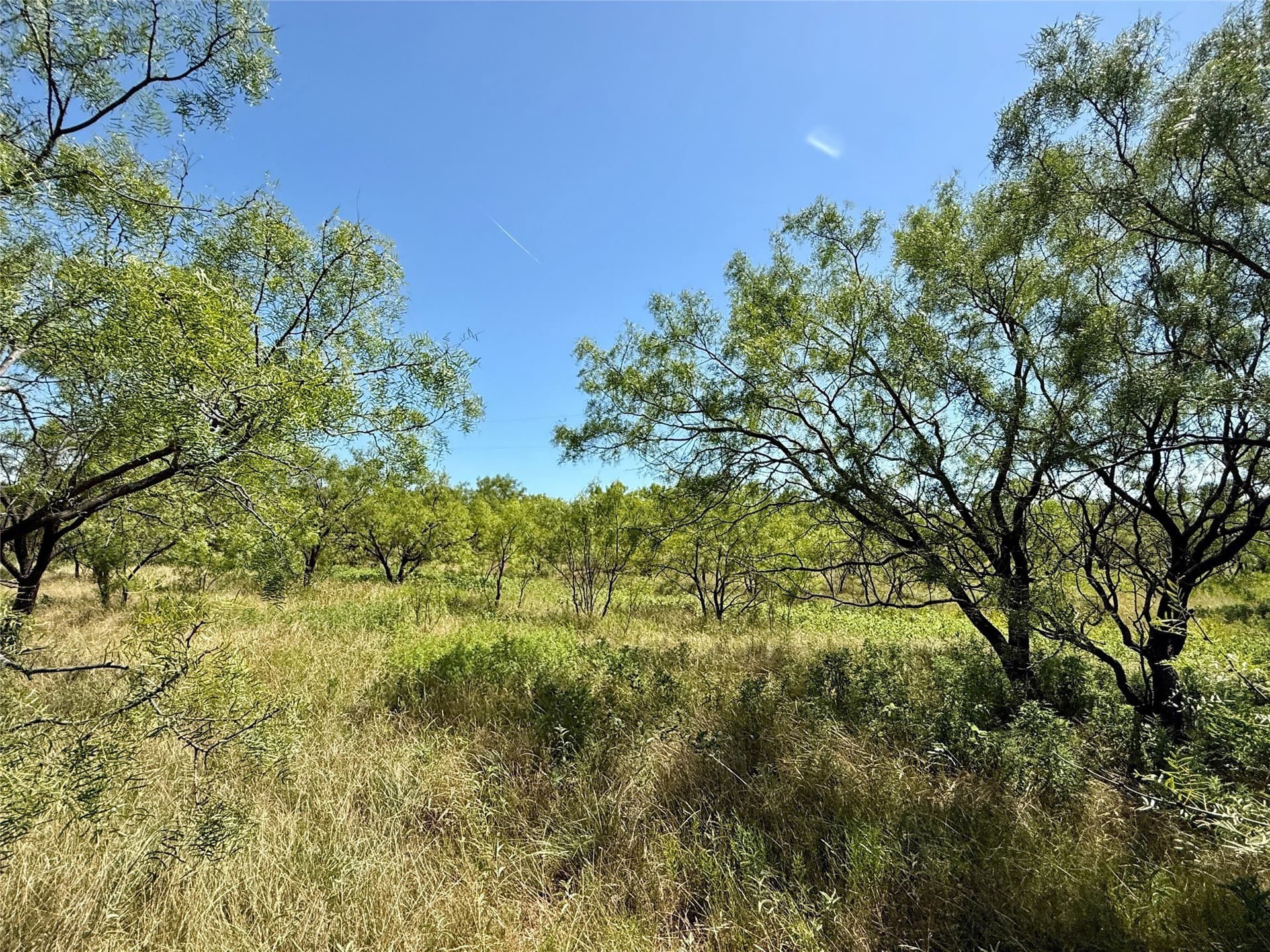 254 acres in Brown County - photo 31