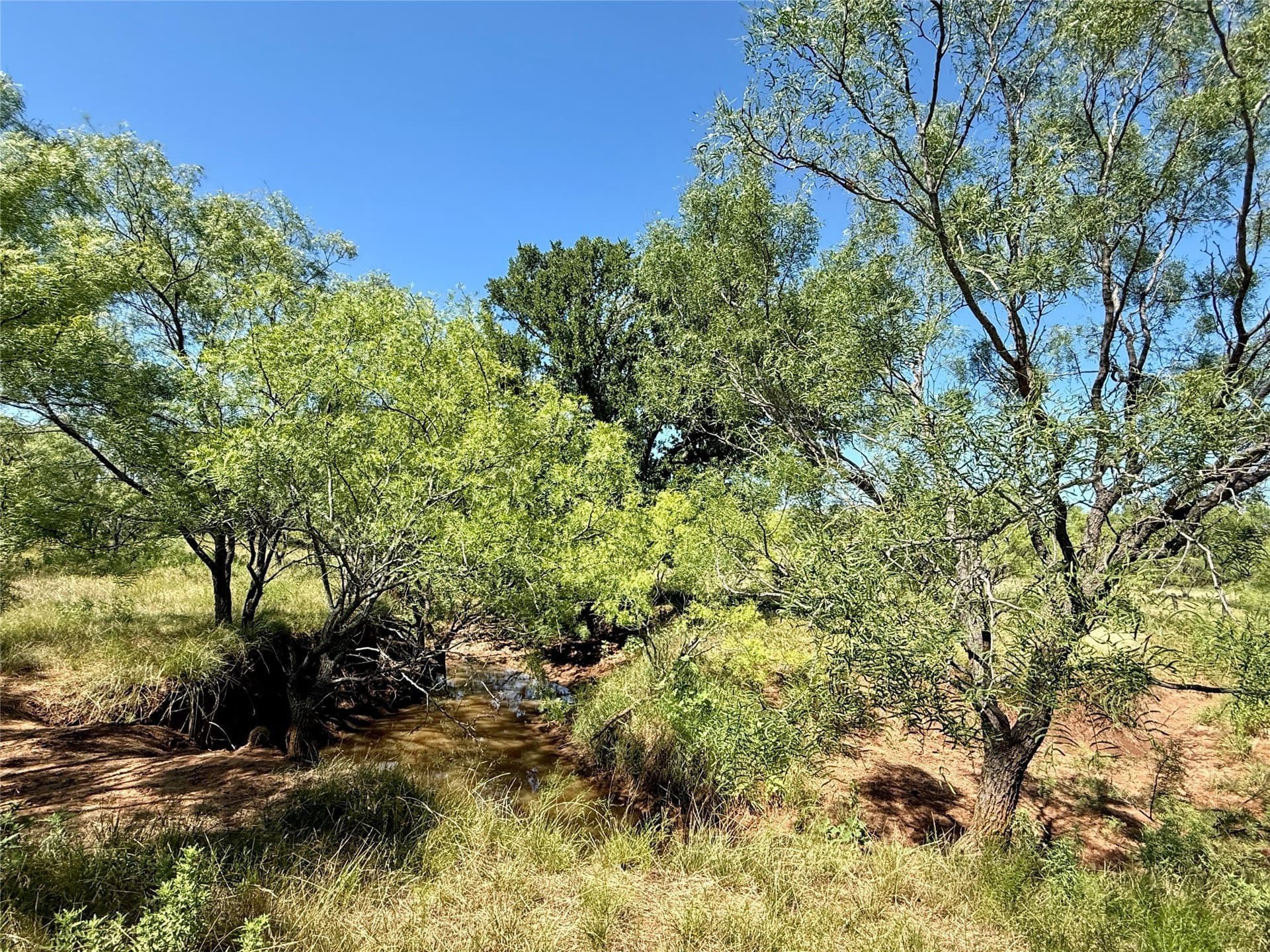 254 acres in Brown County - photo 29