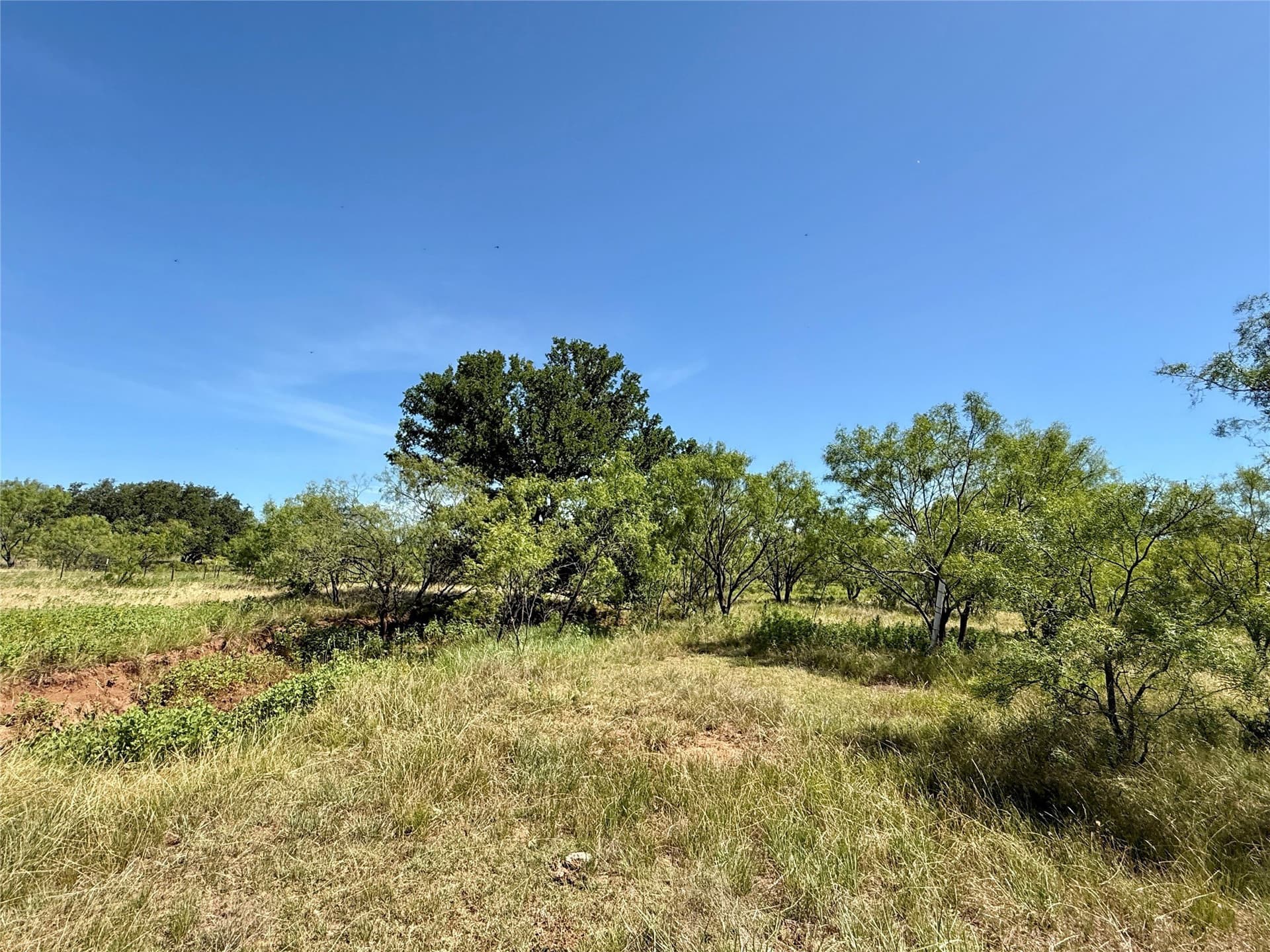 254 acres in Brown County - photo 27