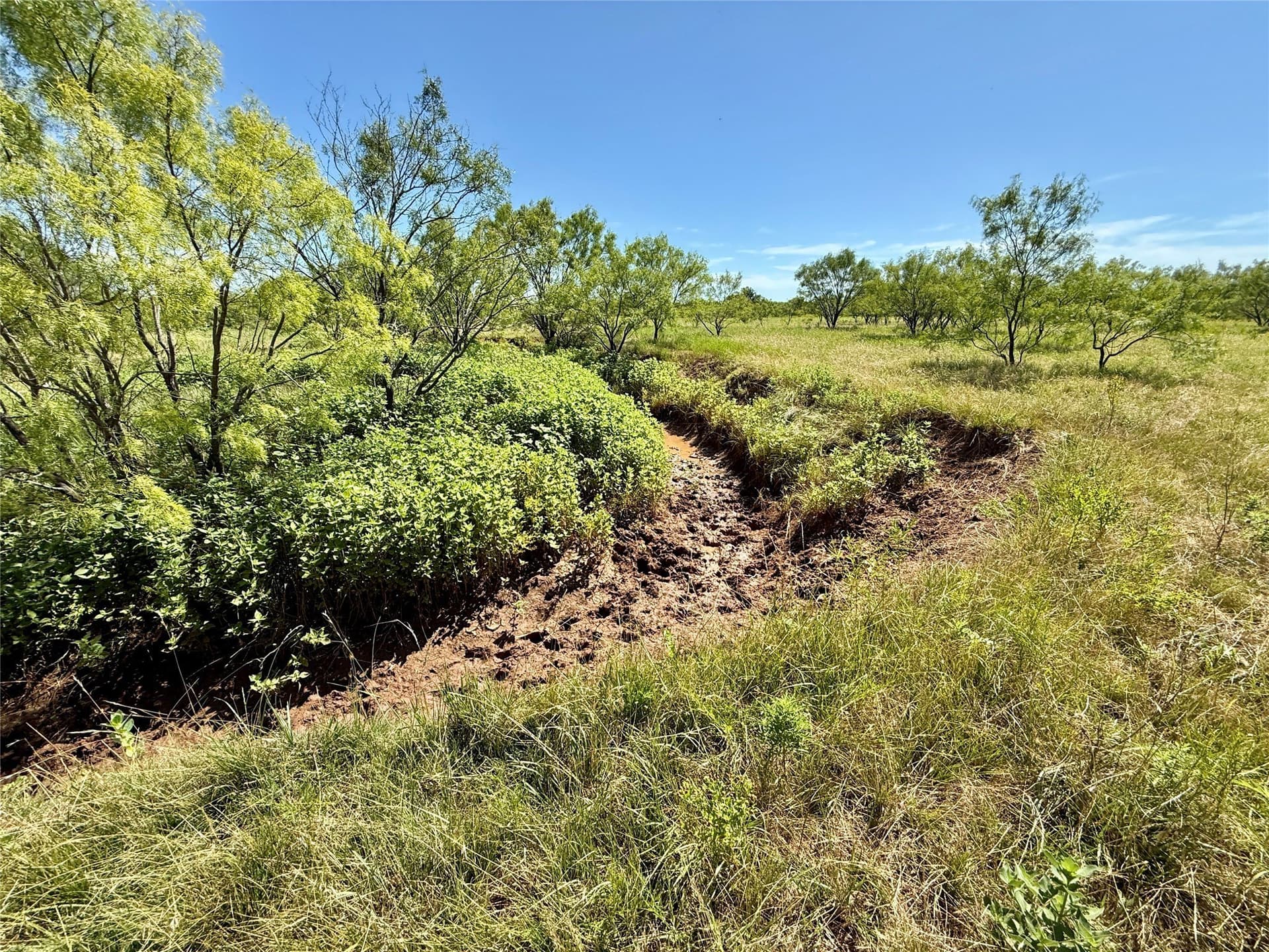 254 acres in Brown County - photo 21