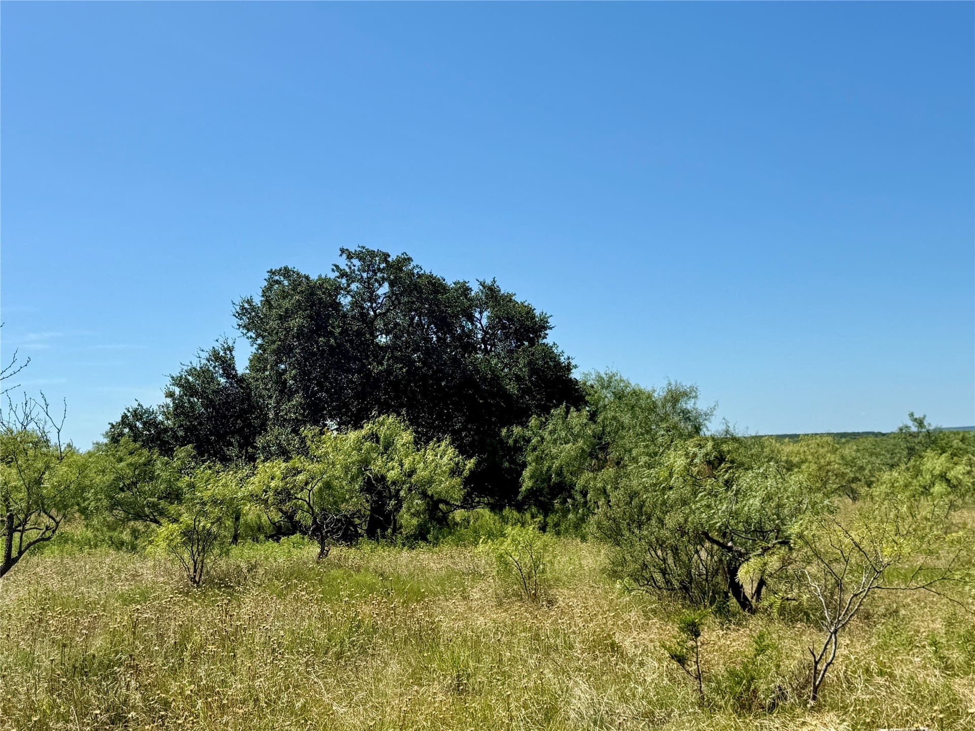 254 acres in Brown County - photo 40