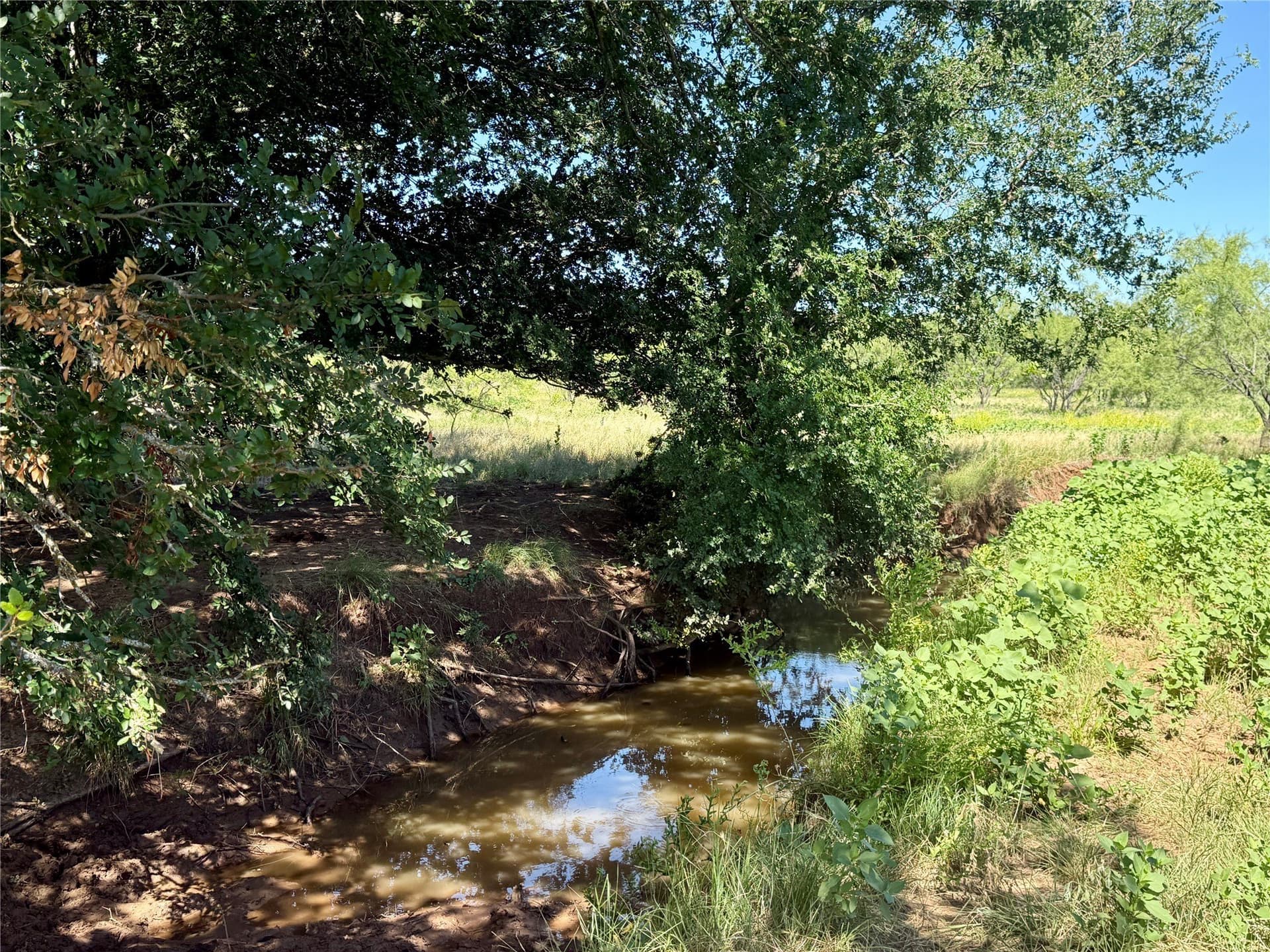 254 acres in Brown County - photo 3