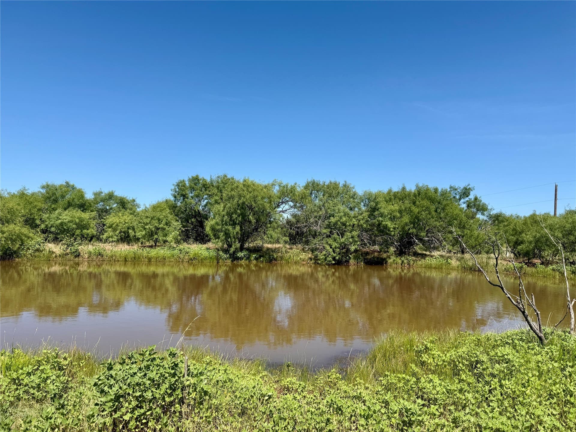 254 acres in Brown County - photo 19
