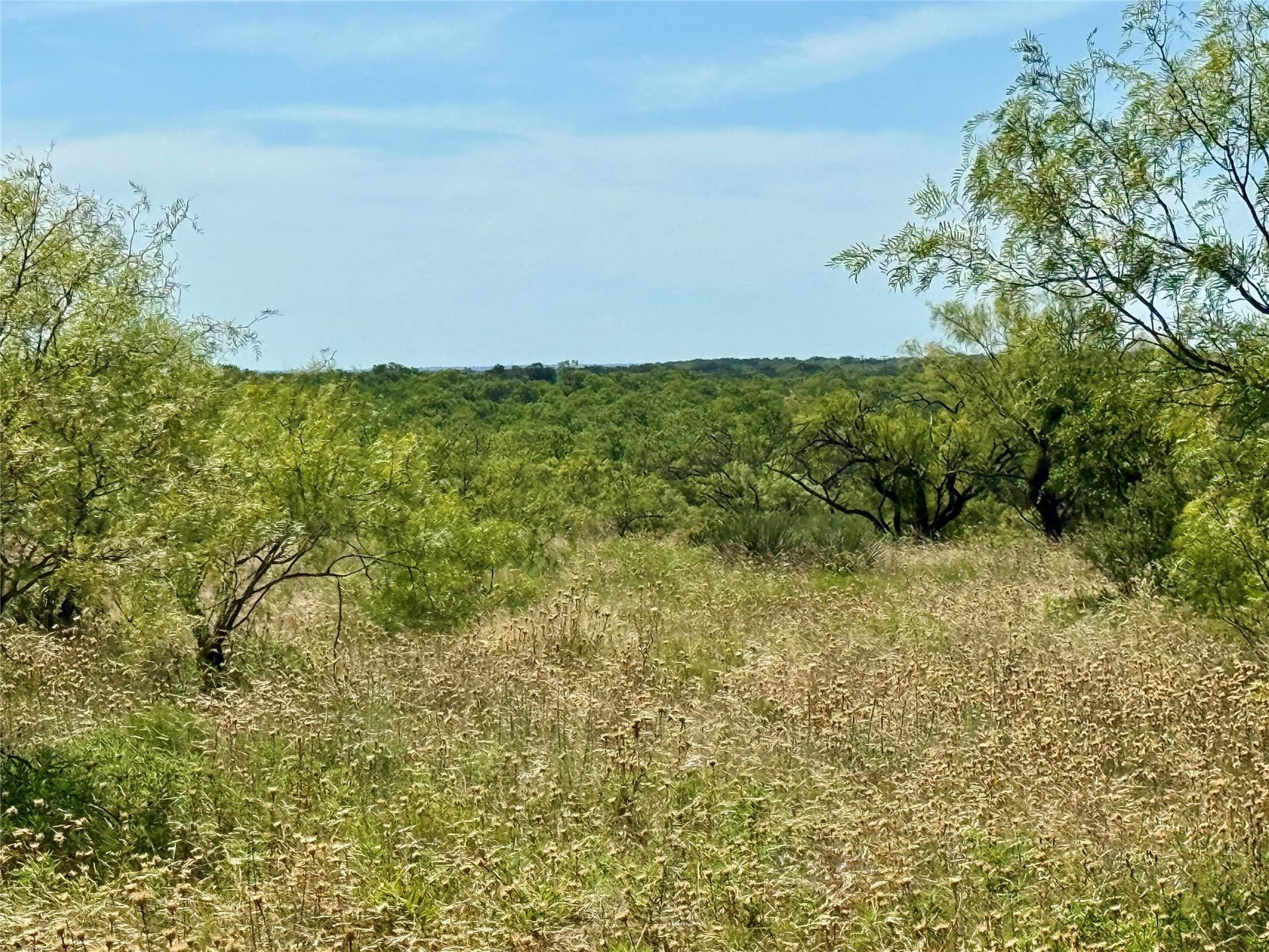 254 acres in Brown County - photo 39