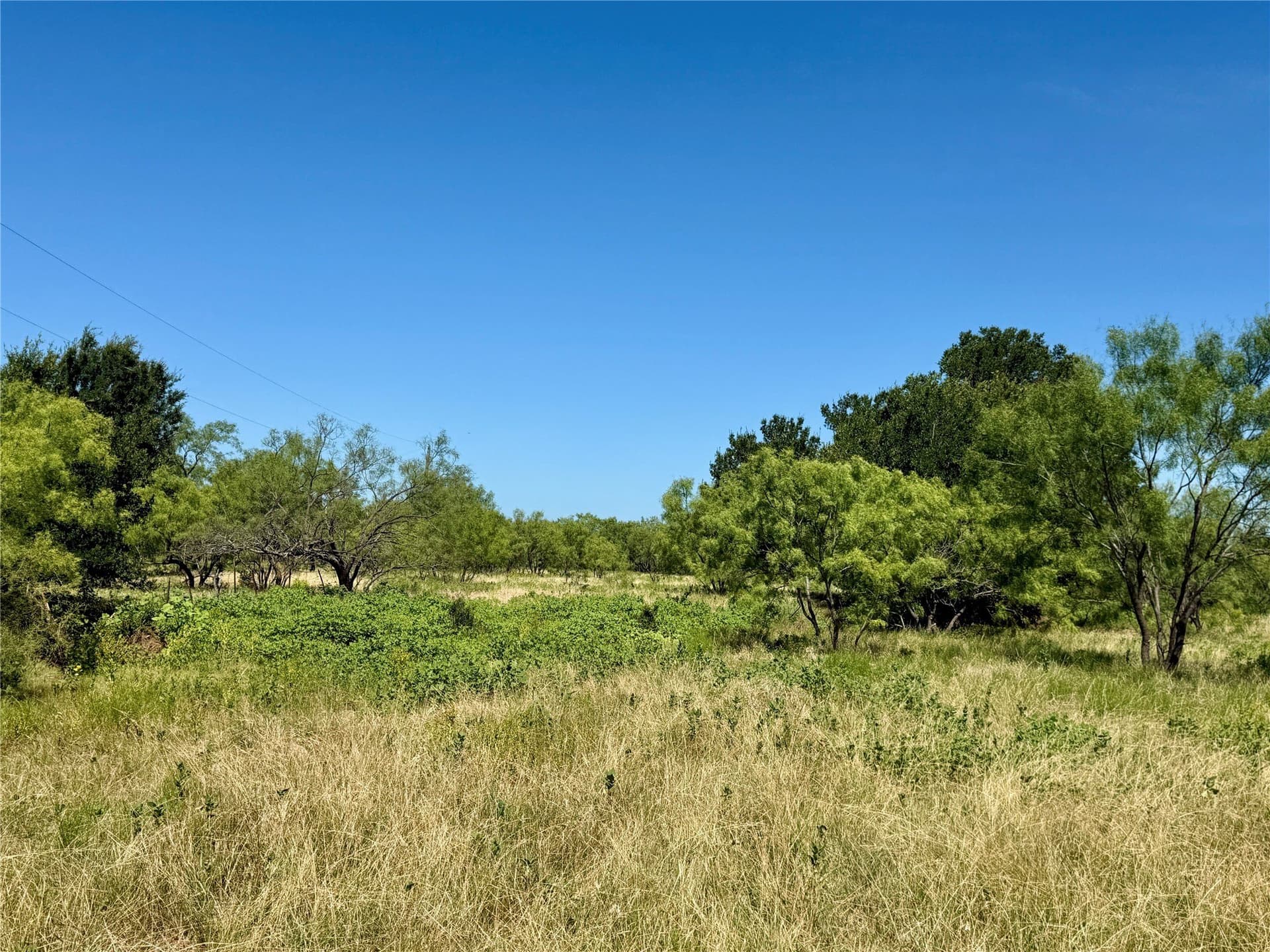 254 acres in Brown County - photo 20
