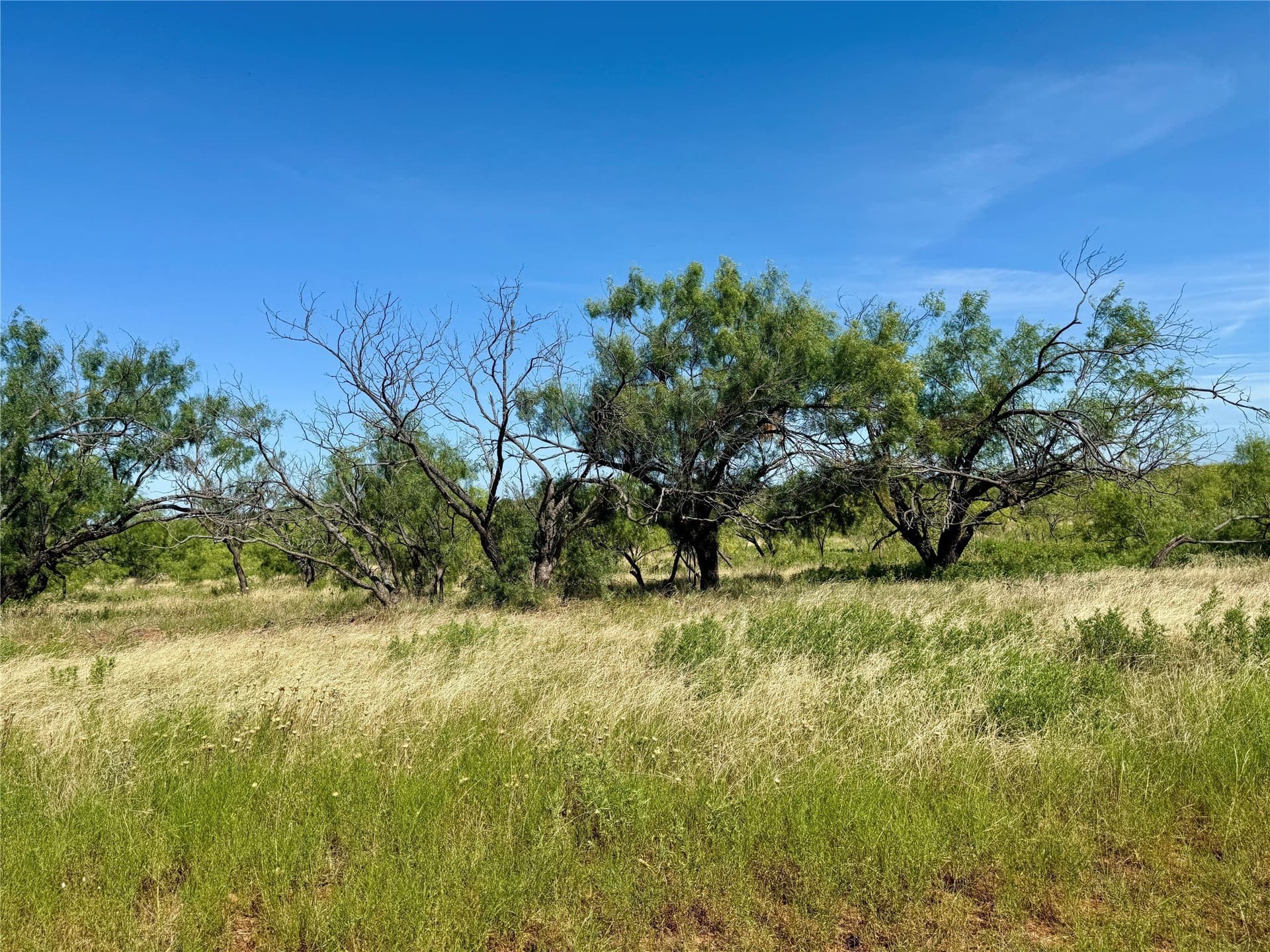 254 acres in Brown County - photo 17