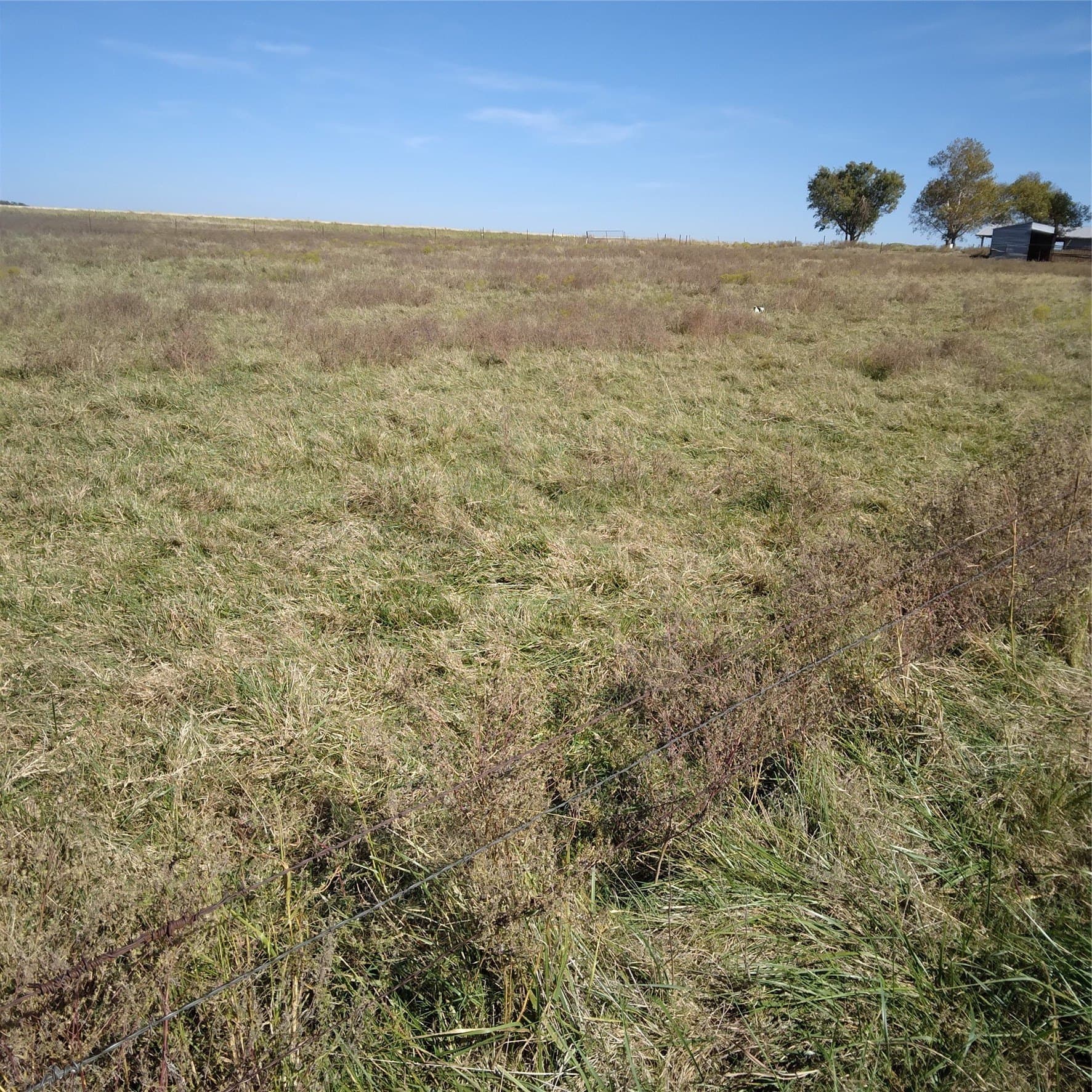 1.97 acres in Cooke County - photo 4