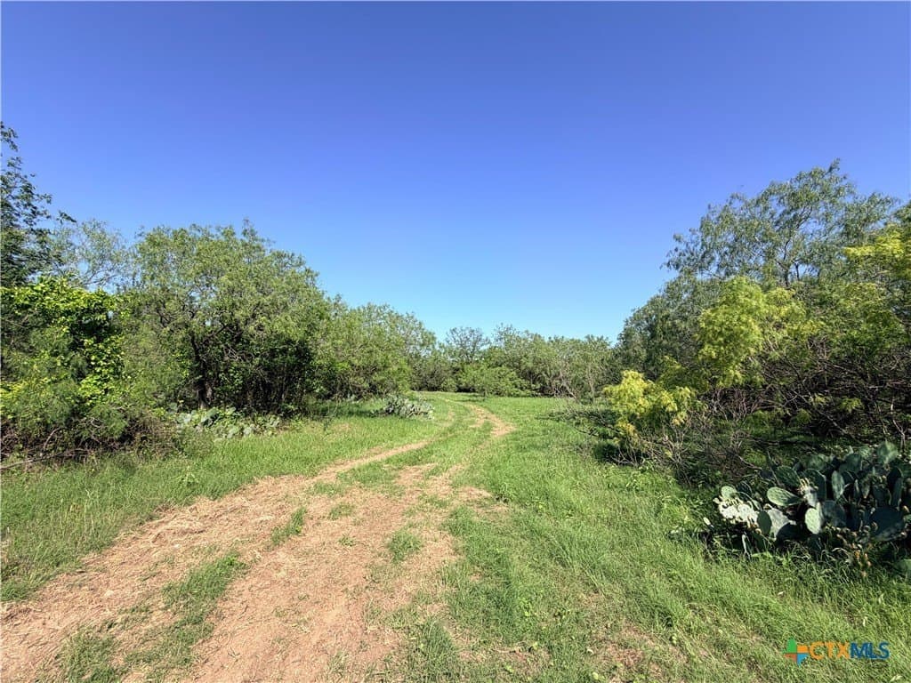 11.1 acres in Caldwell County - photo 15